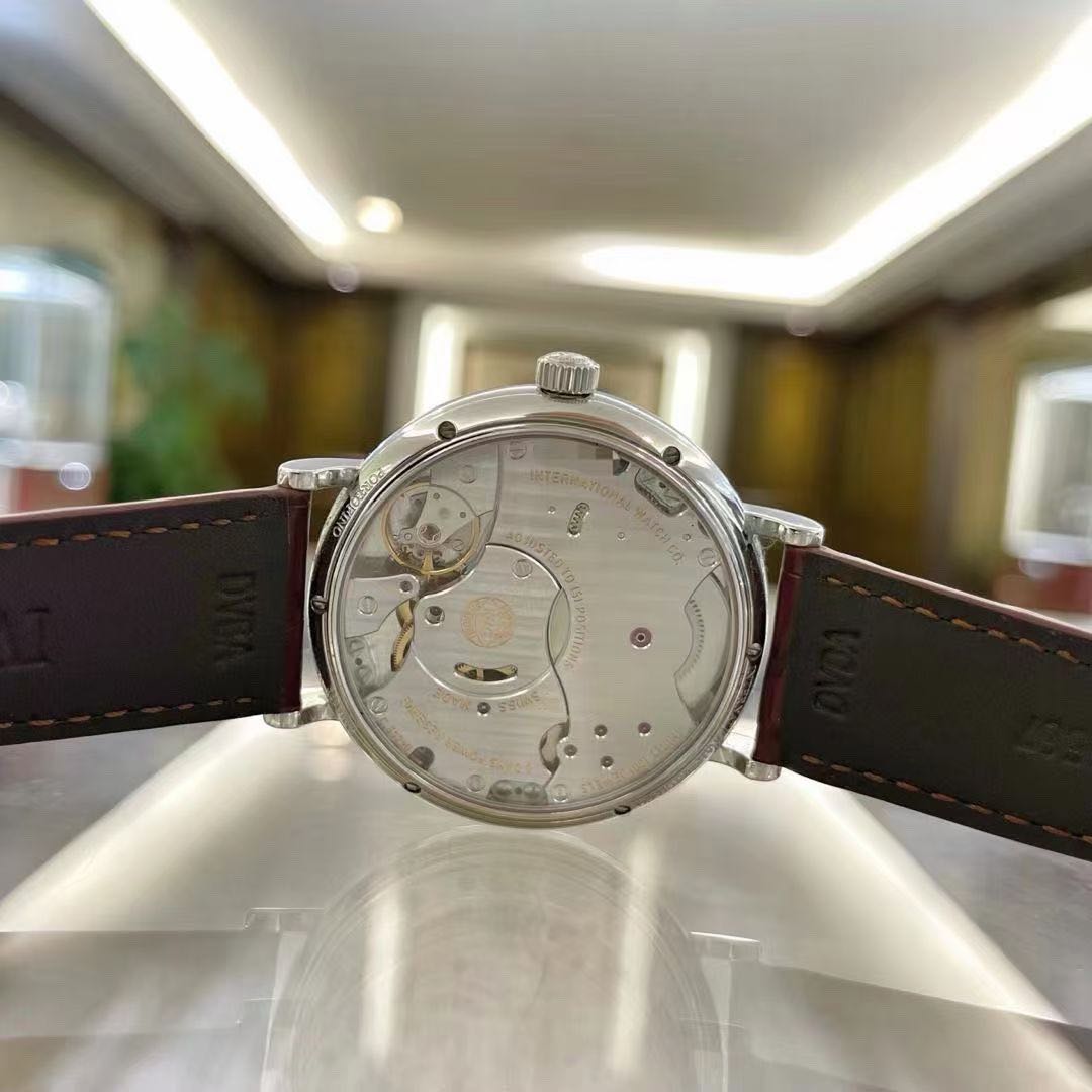 IWC IW510102 detail 3