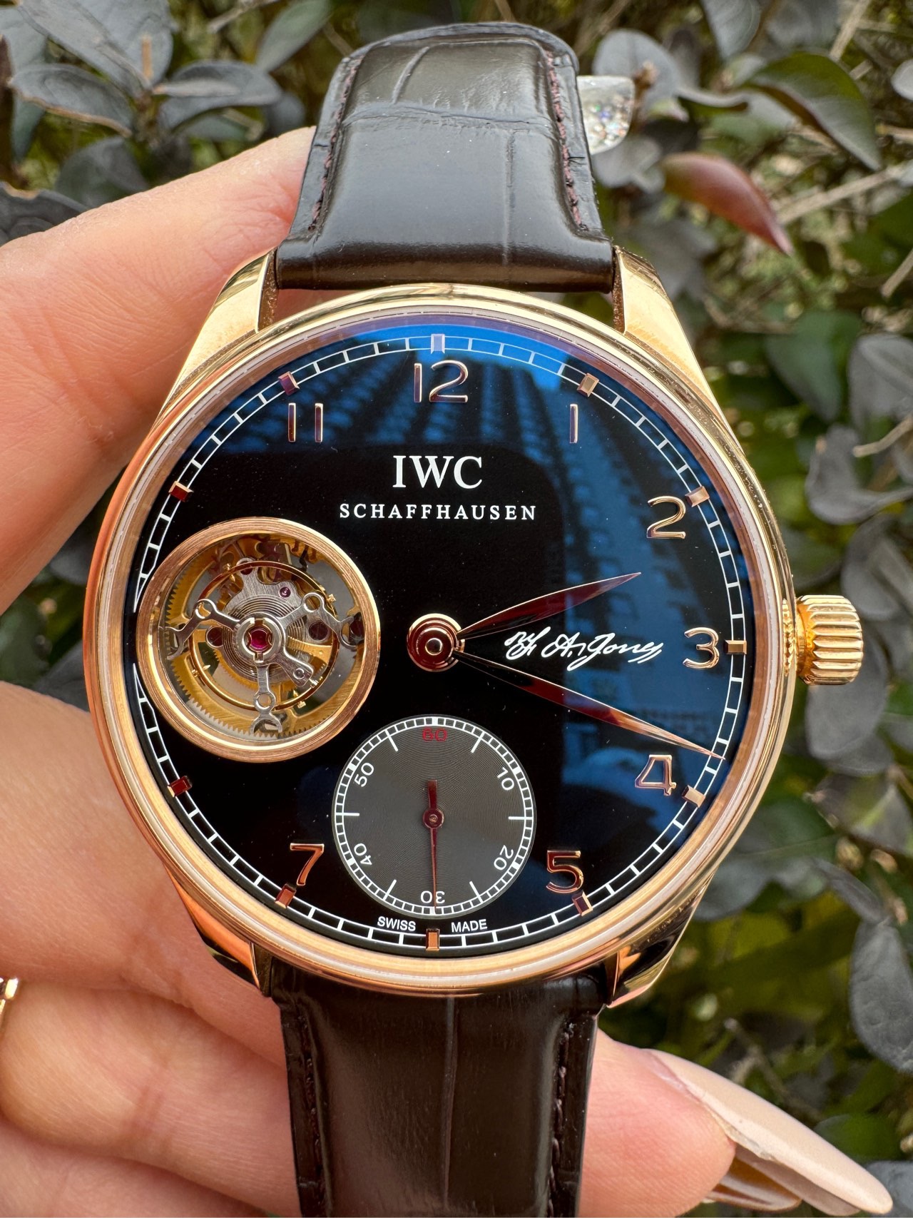 IWC IW544705