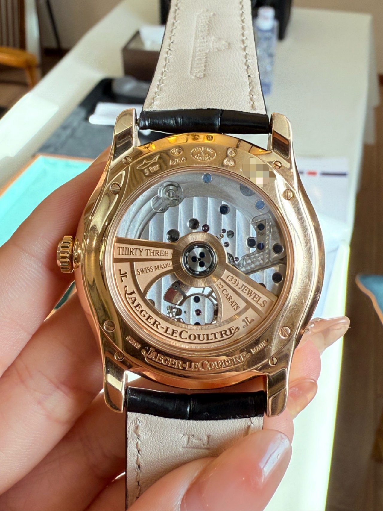 Jaeger-LeCoultre Q1662510 detail 3