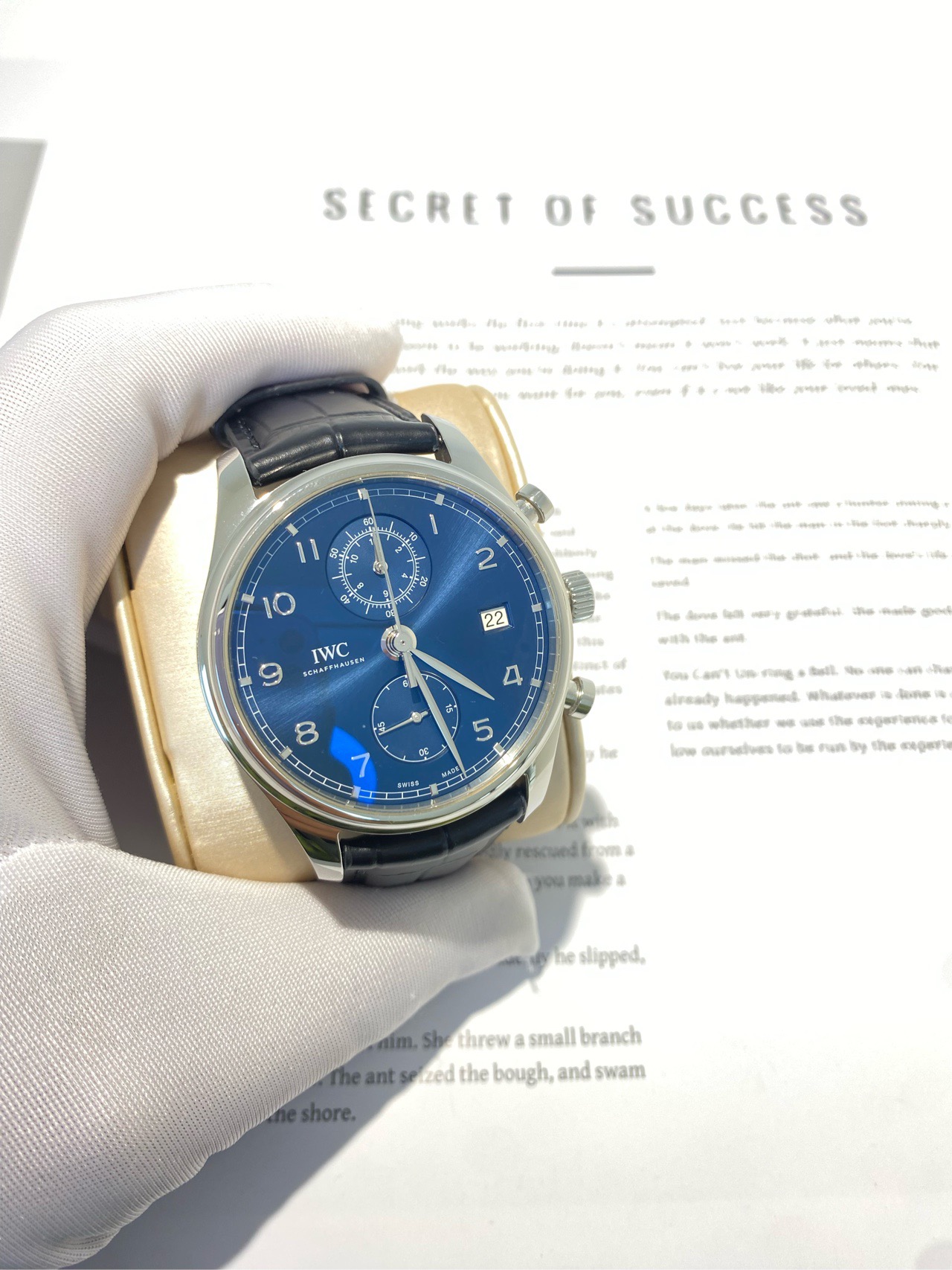 IWC IW390303