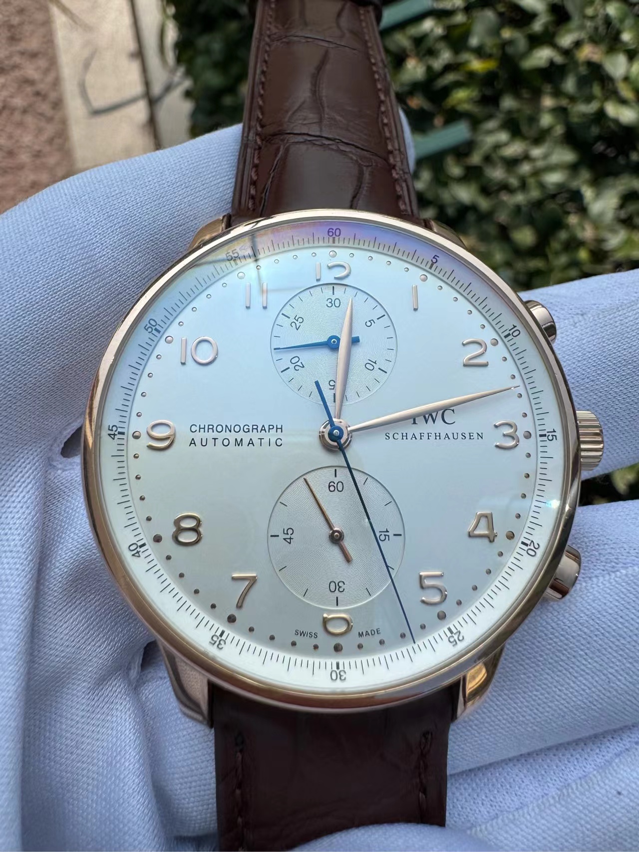 IWC 371480
