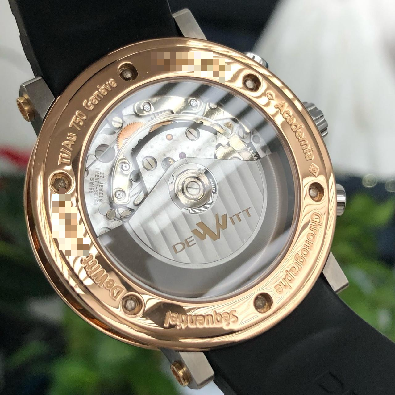Dewitt AC.600528A.M003 detail 6