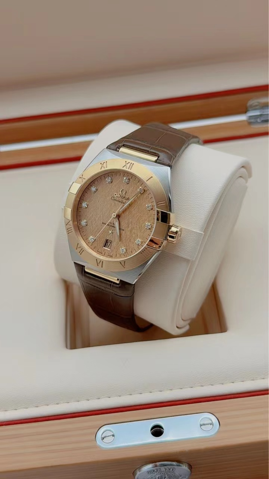 Omega 131.23.39.20.58.001 detail 1