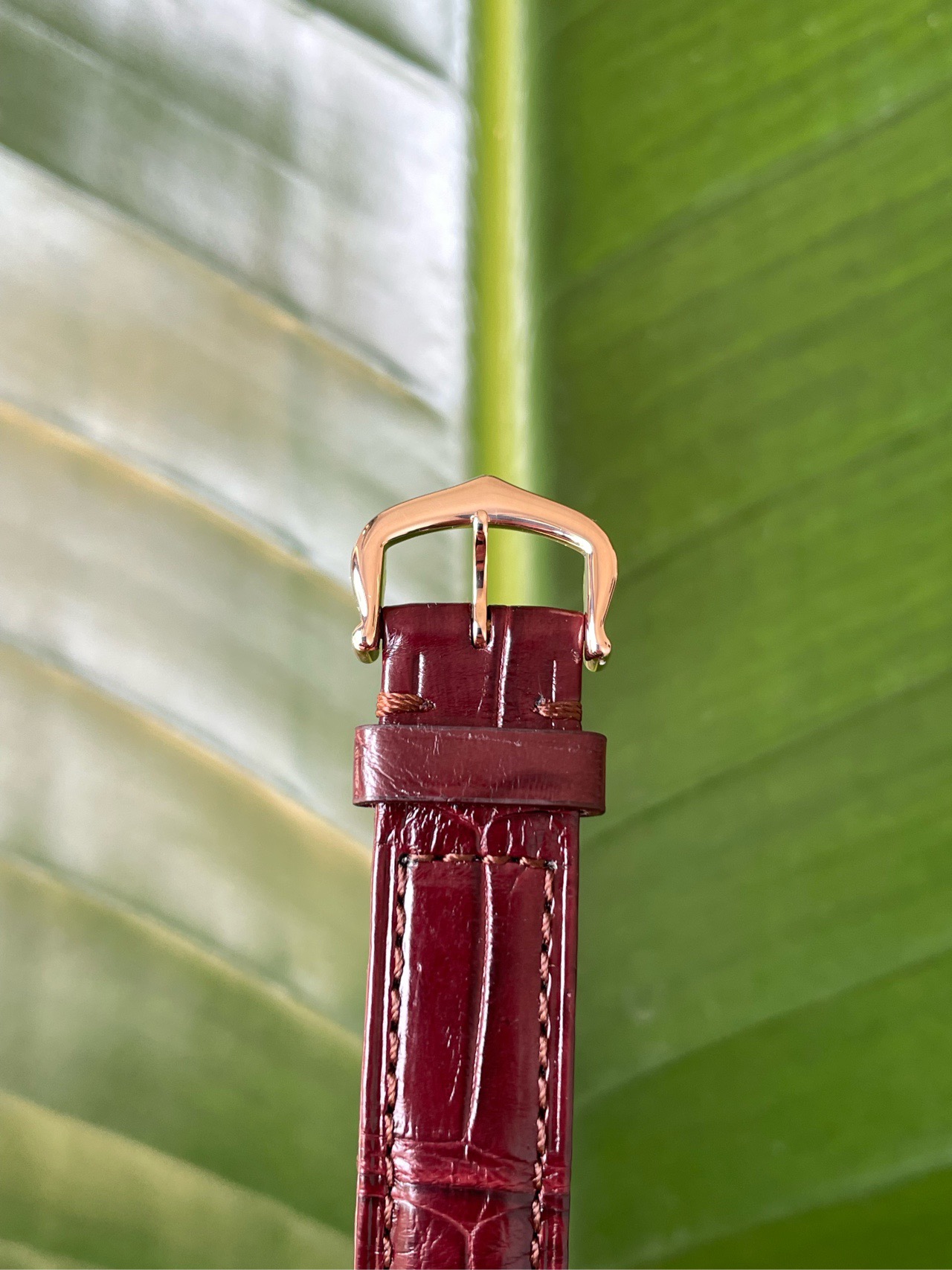 Cartier WGBB0007 detail 6