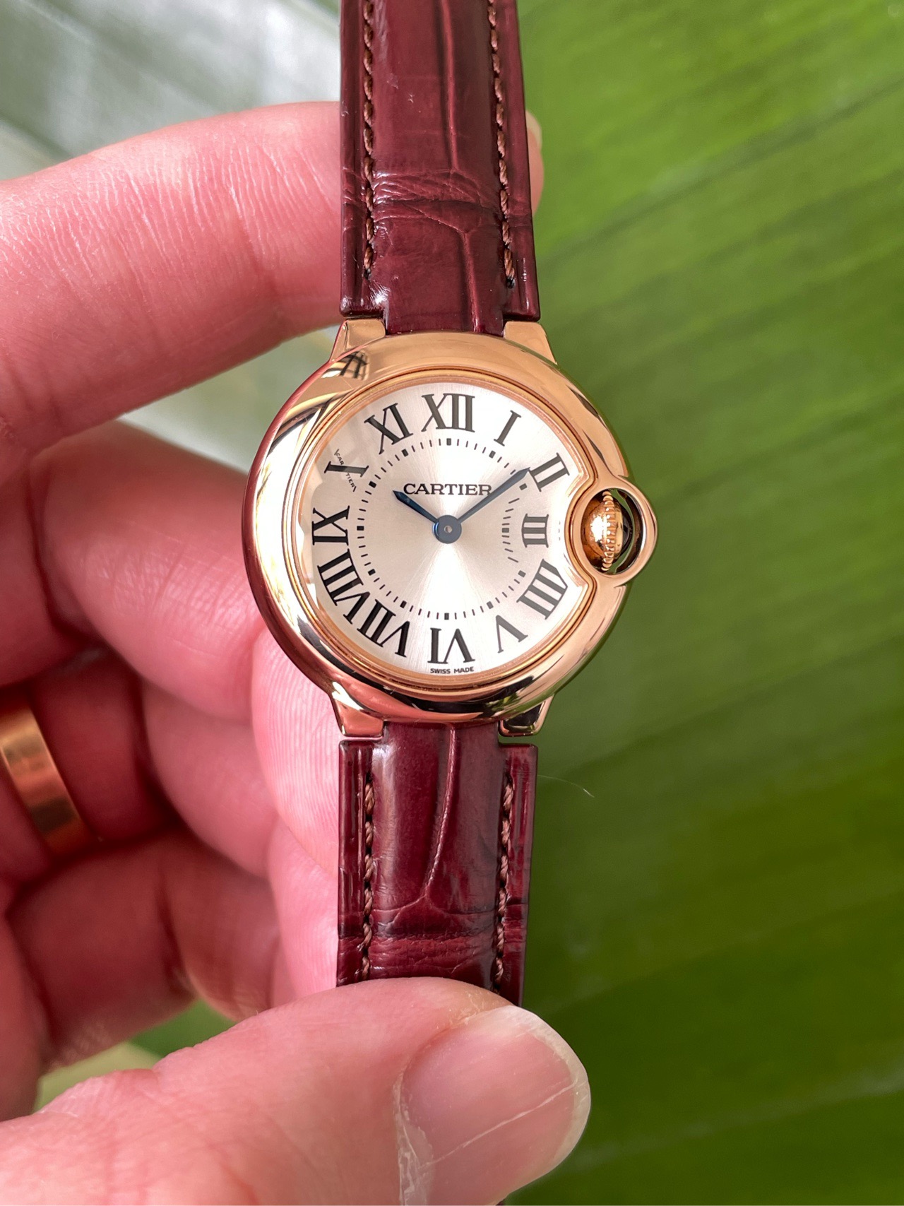 Cartier WGBB0007