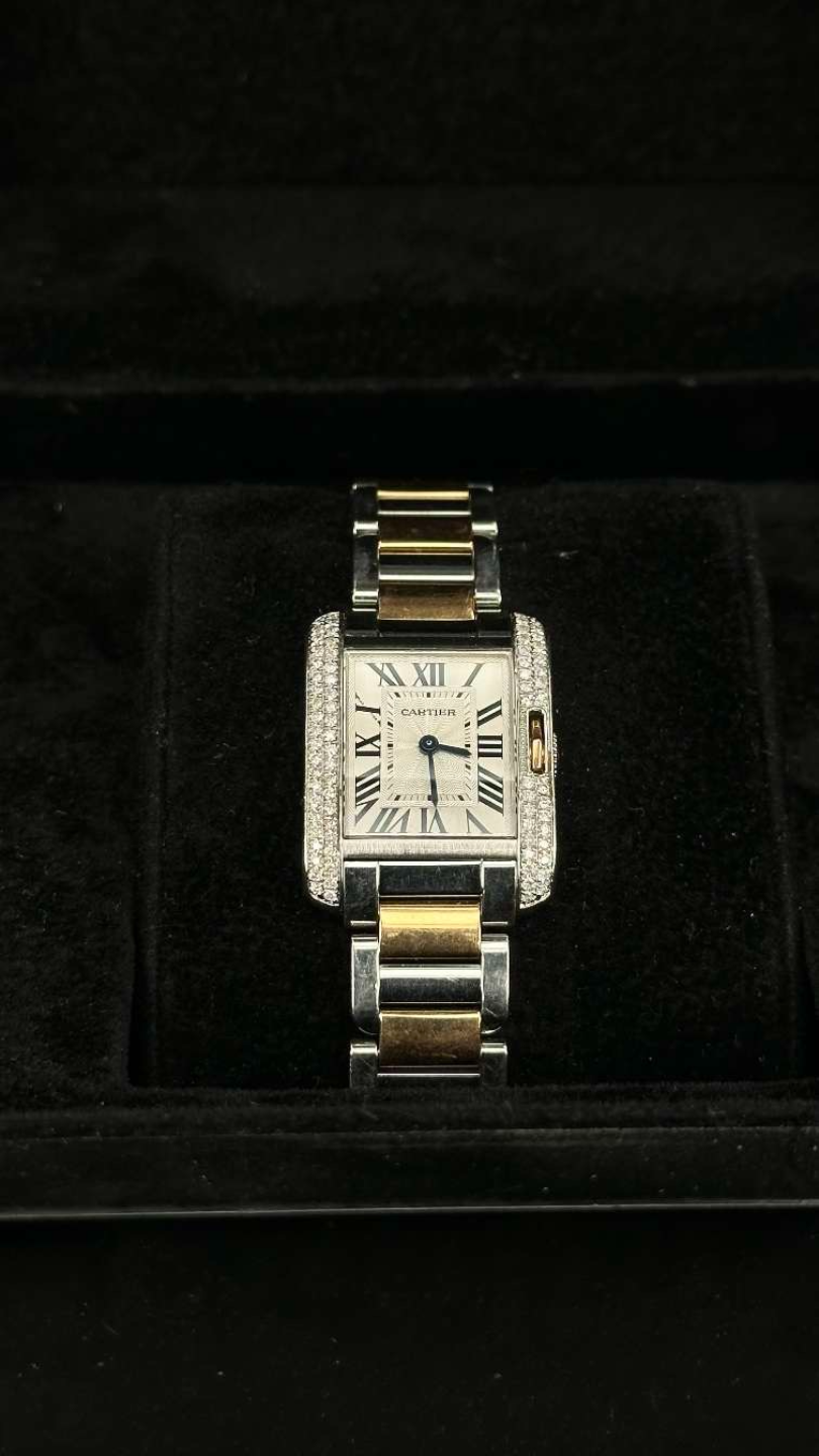 Cartier W5310019