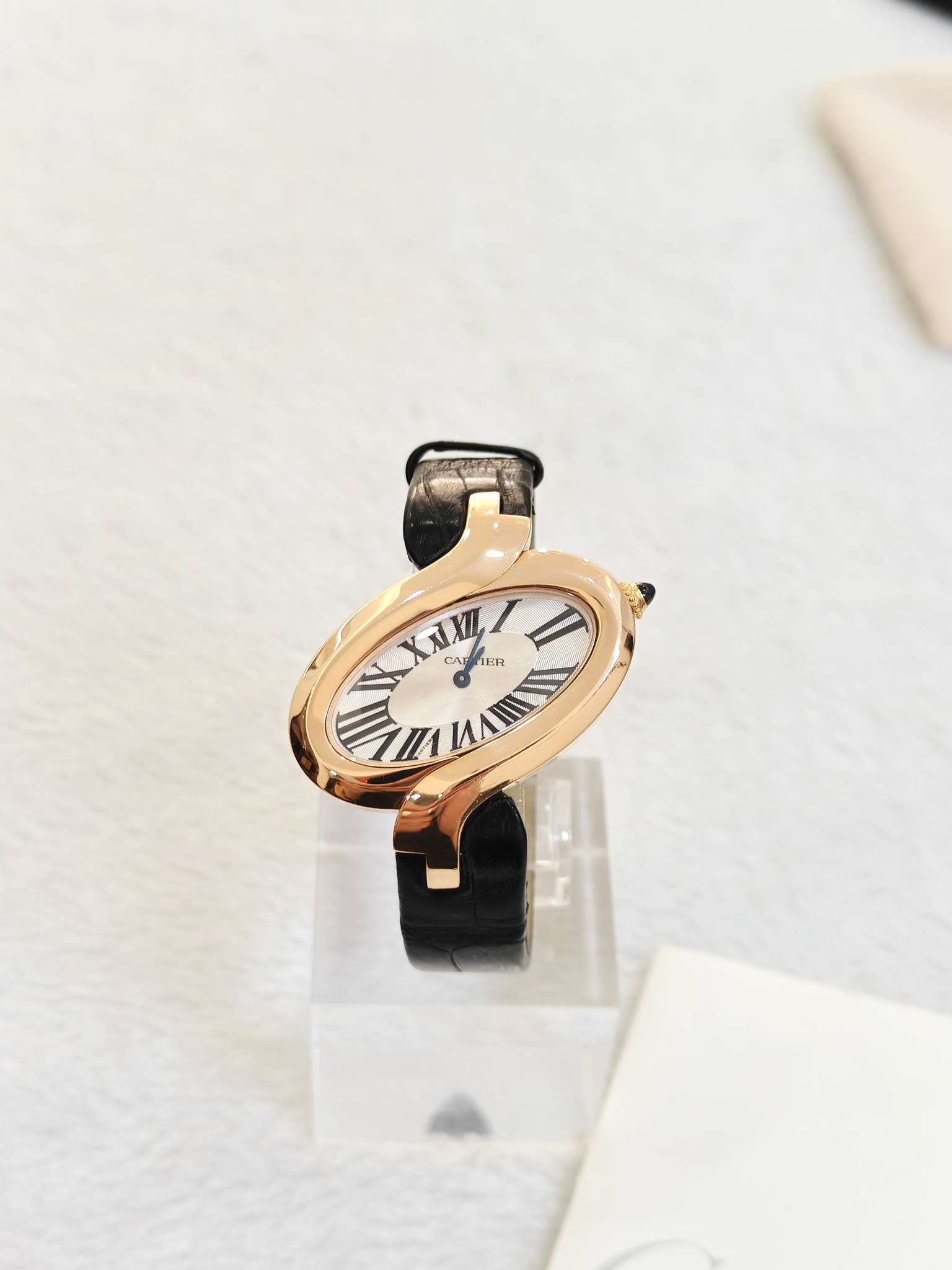 Cartier W8100011
