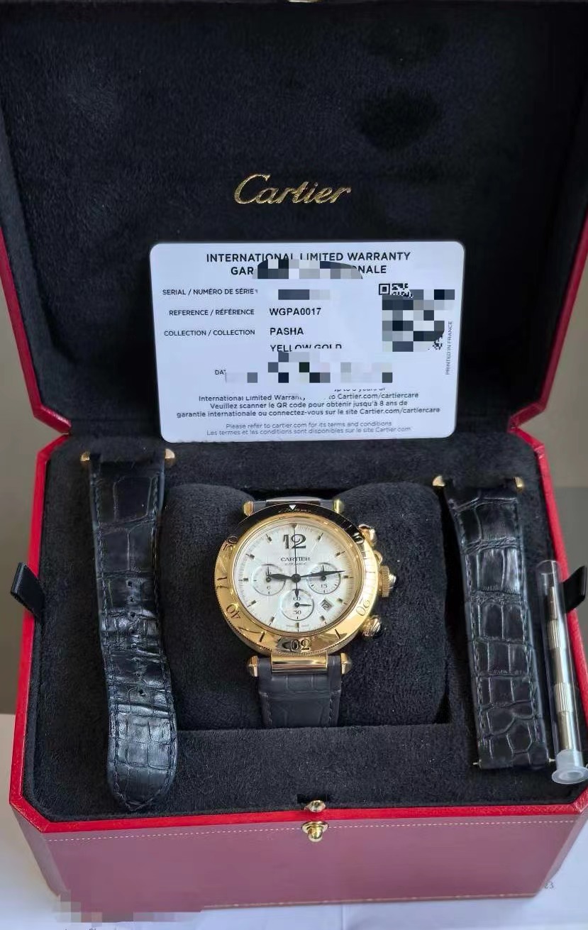 Cartier WGPA0017 detail 6