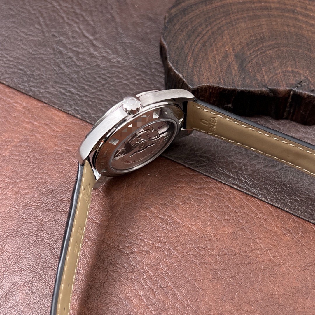 Omega 231.13.42.21.03.001 detail 2