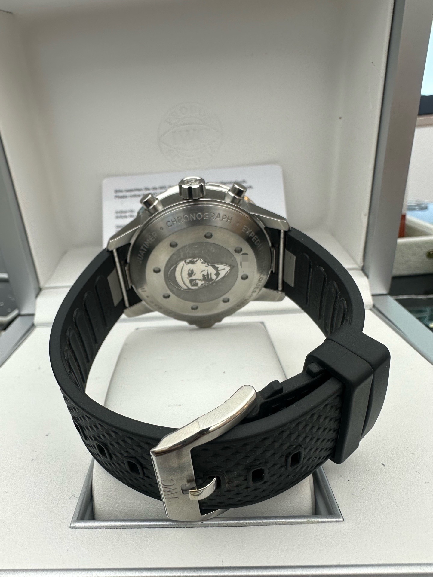 IWC 376806 detail 5