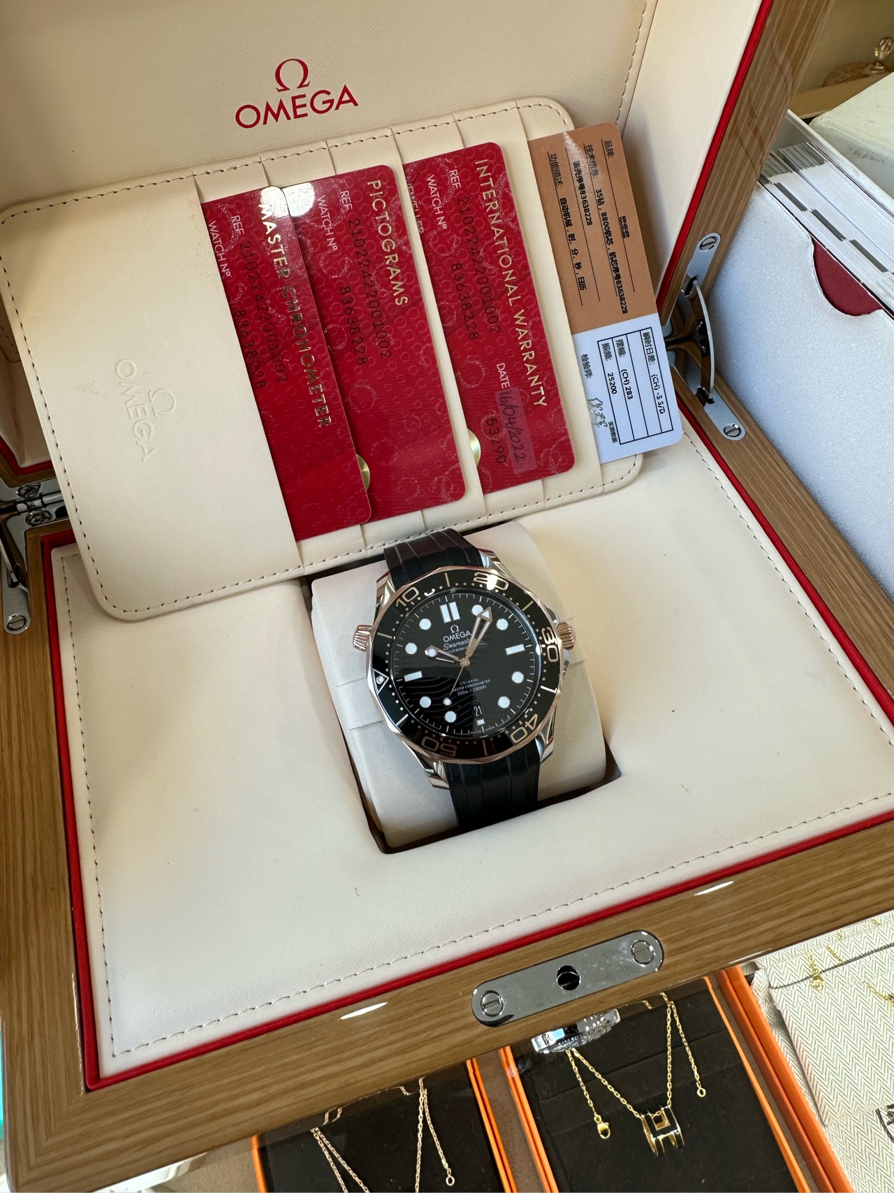 Omega 210.22.42.20.01.002 detail 7