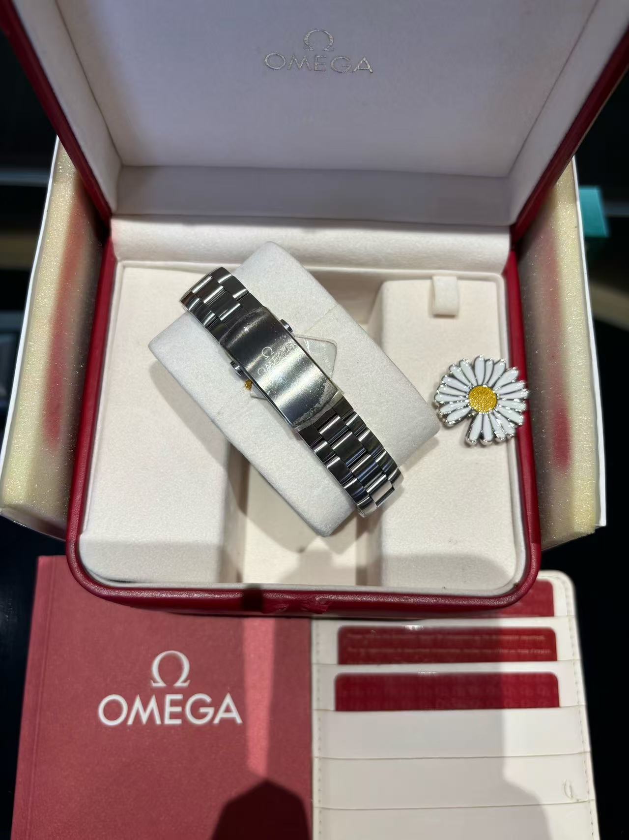 Omega 232.30.38.20.01.001 detail 7