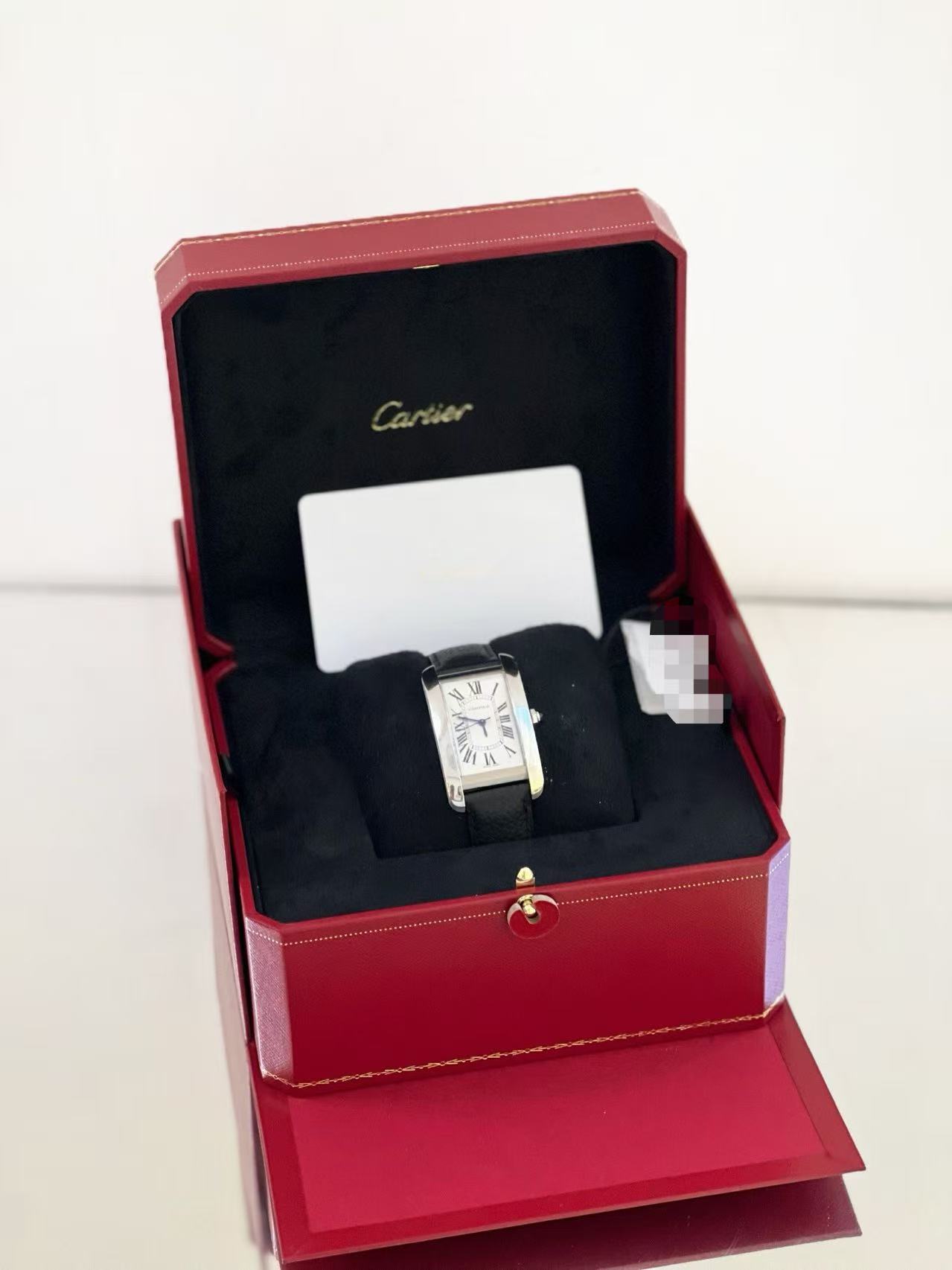 Cartier WSTA0057