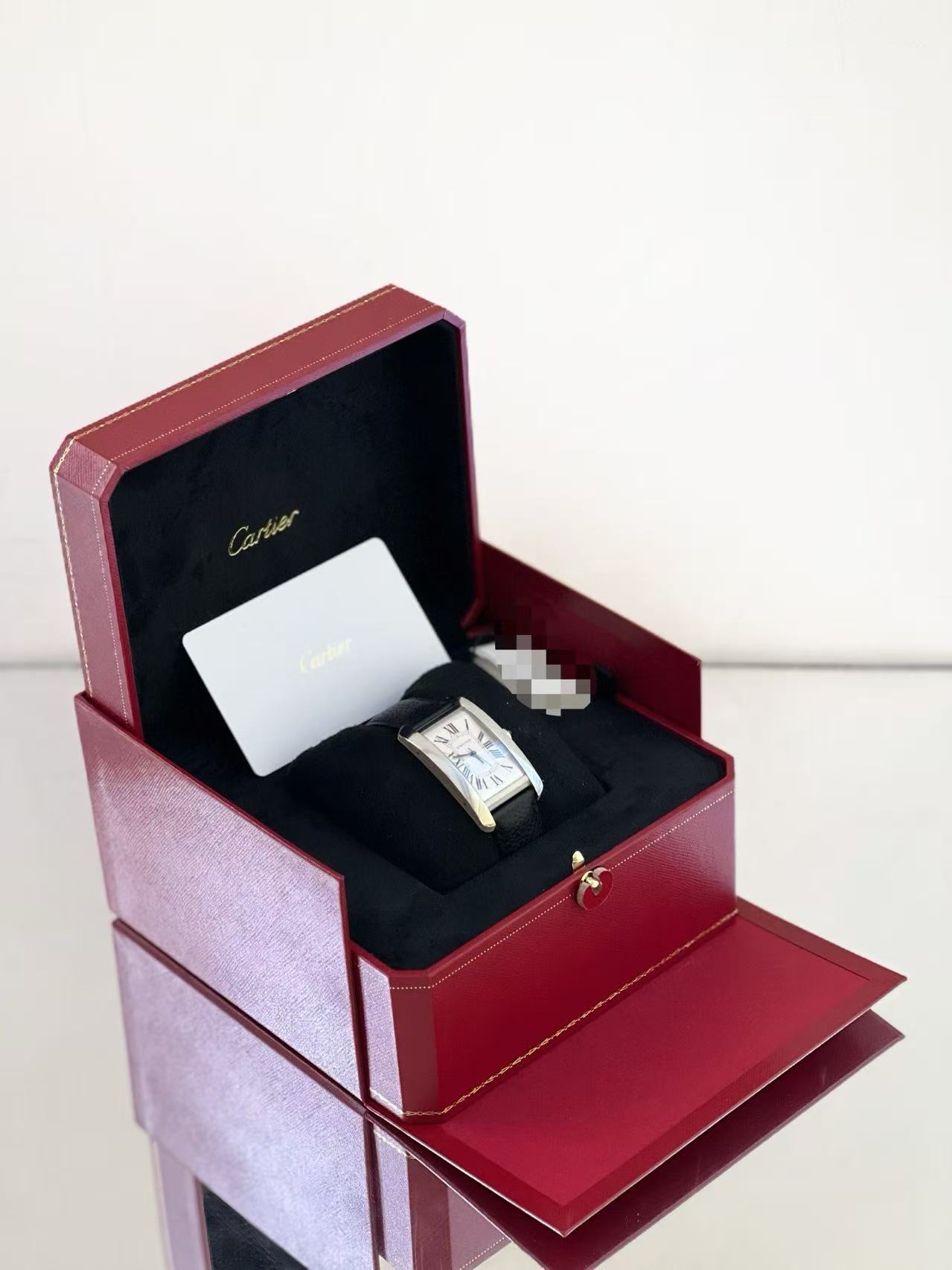 Cartier WSTA0057 detail 1