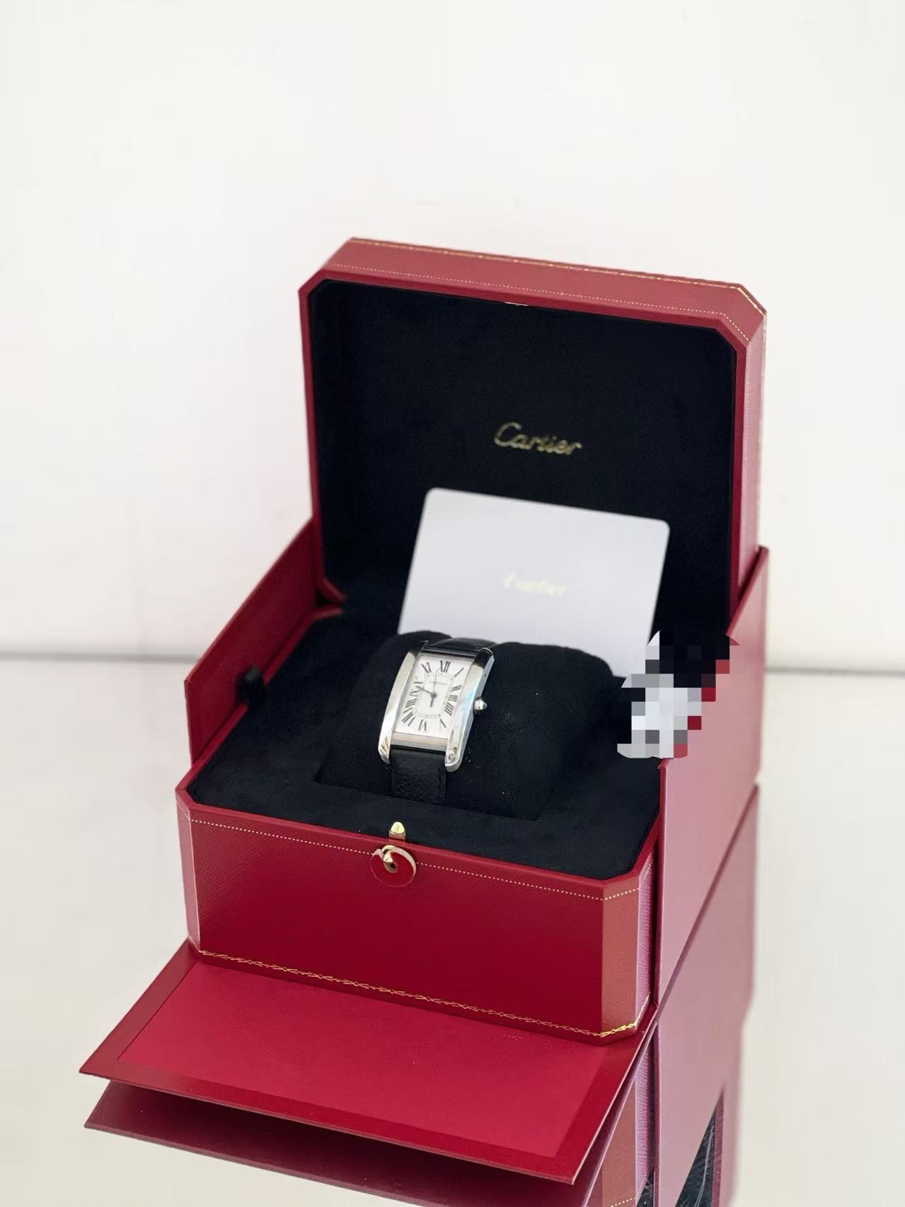 Cartier WSTA0057 detail 2