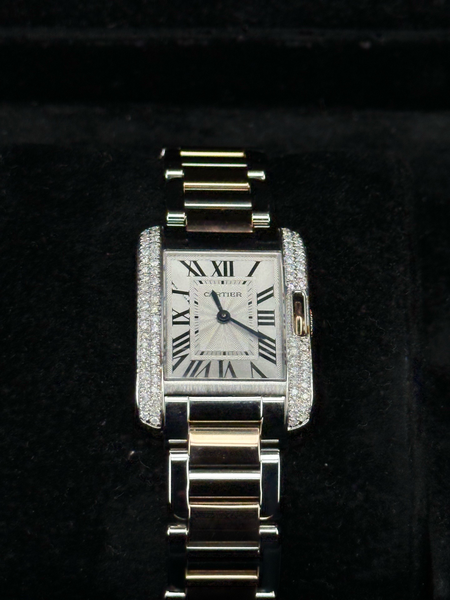 Cartier W5310019