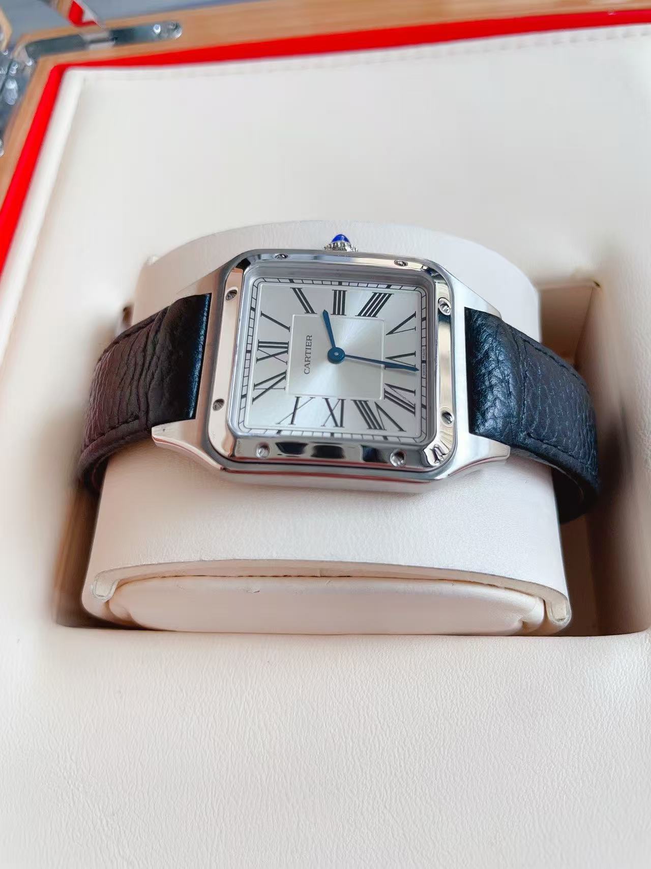 Cartier WSSA0088 detail 3