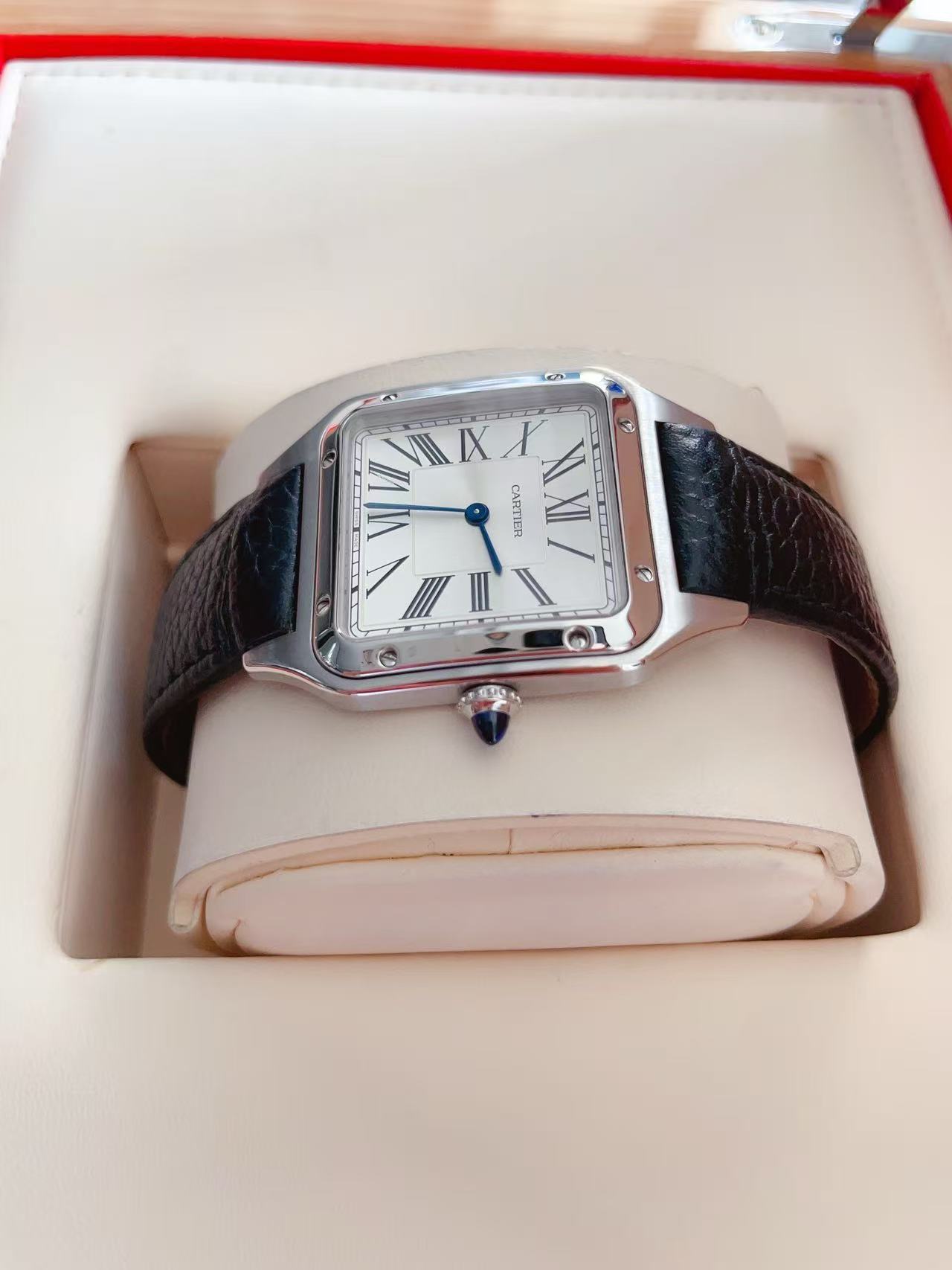 Cartier WSSA0088 detail 2
