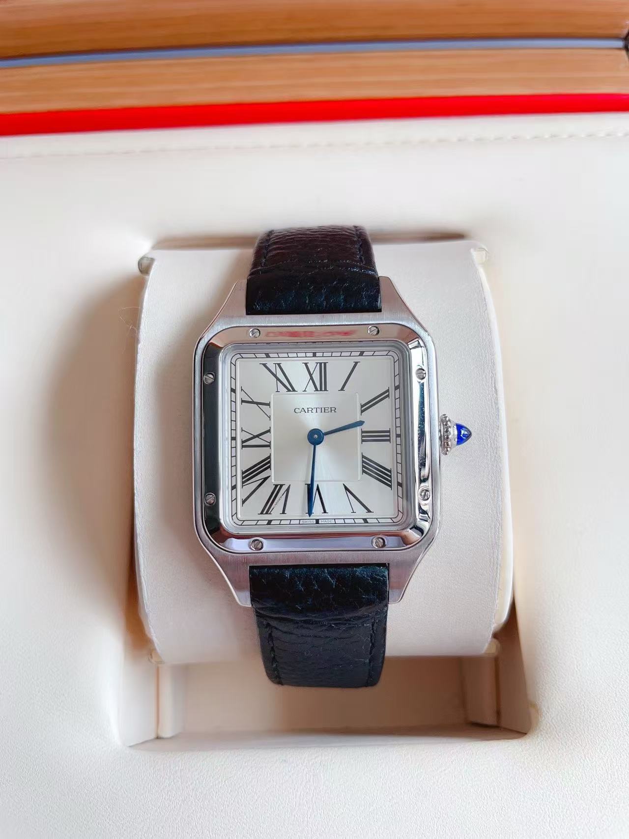 Cartier WSSA0088