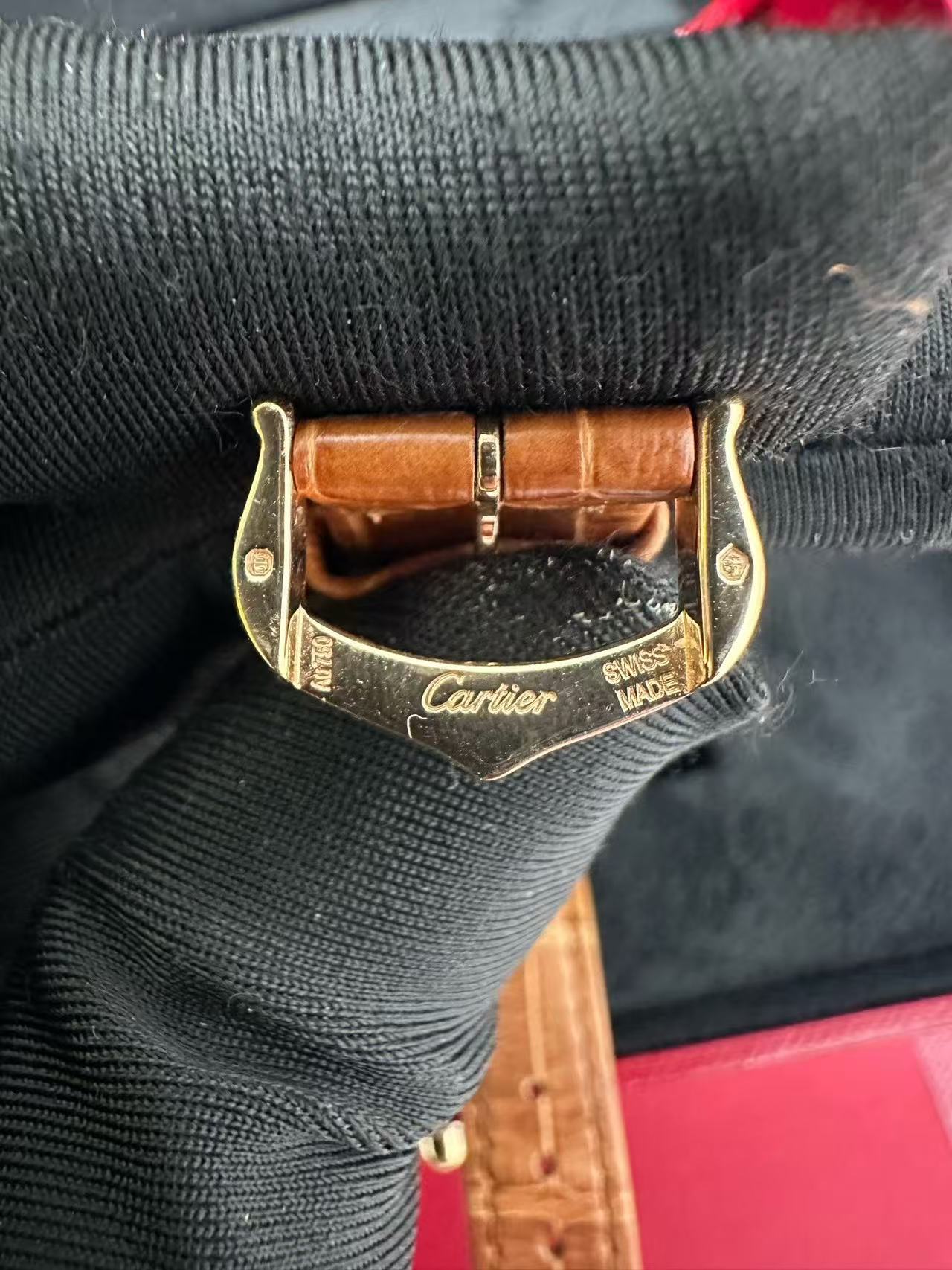 Cartier WGTA0010 detail 3