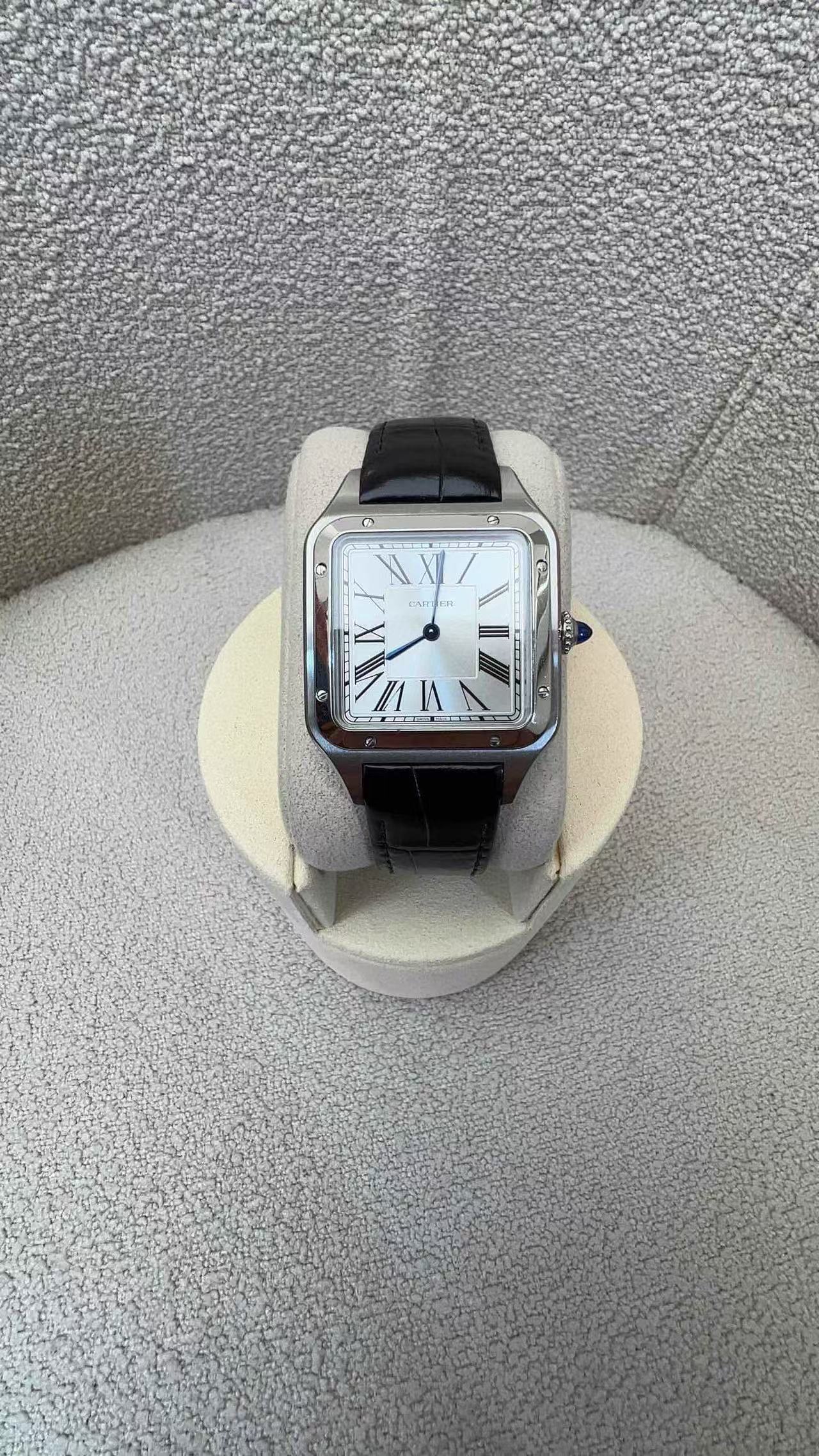 Cartier WSSA0022