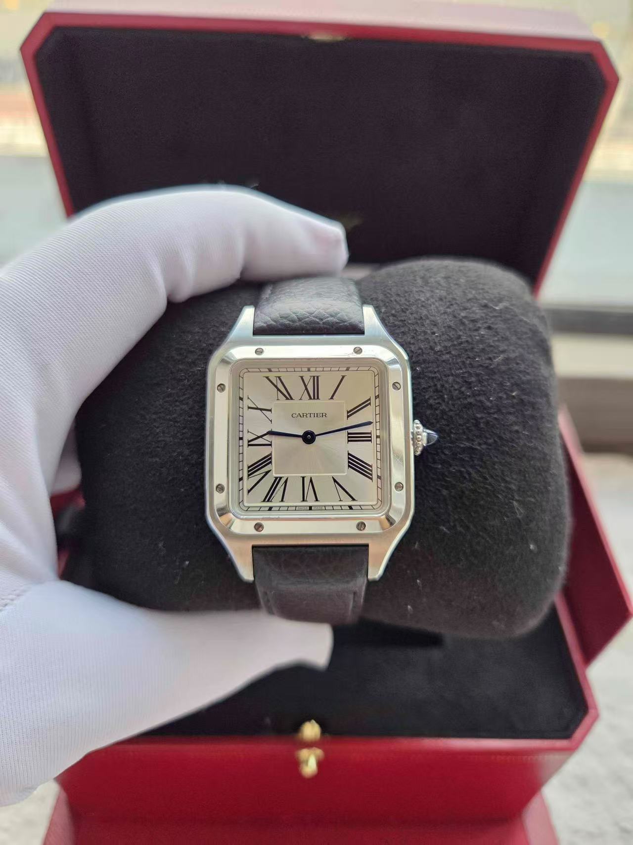 Cartier WSSA0040