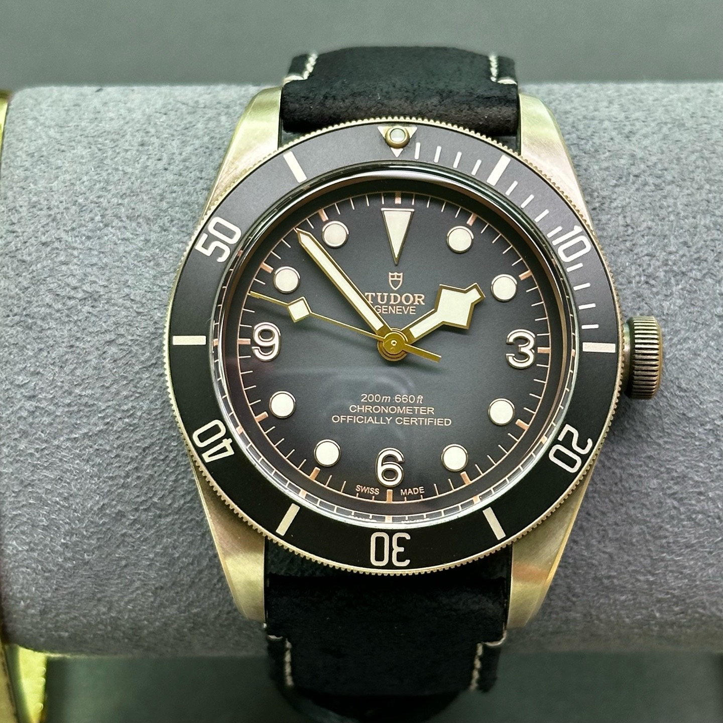 Tudor m79250ba-0001 detail 1