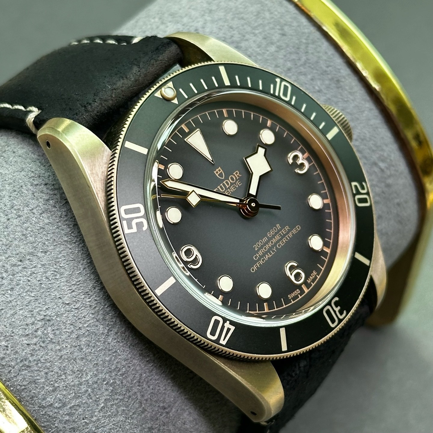 Tudor m79250ba-0001 detail 2