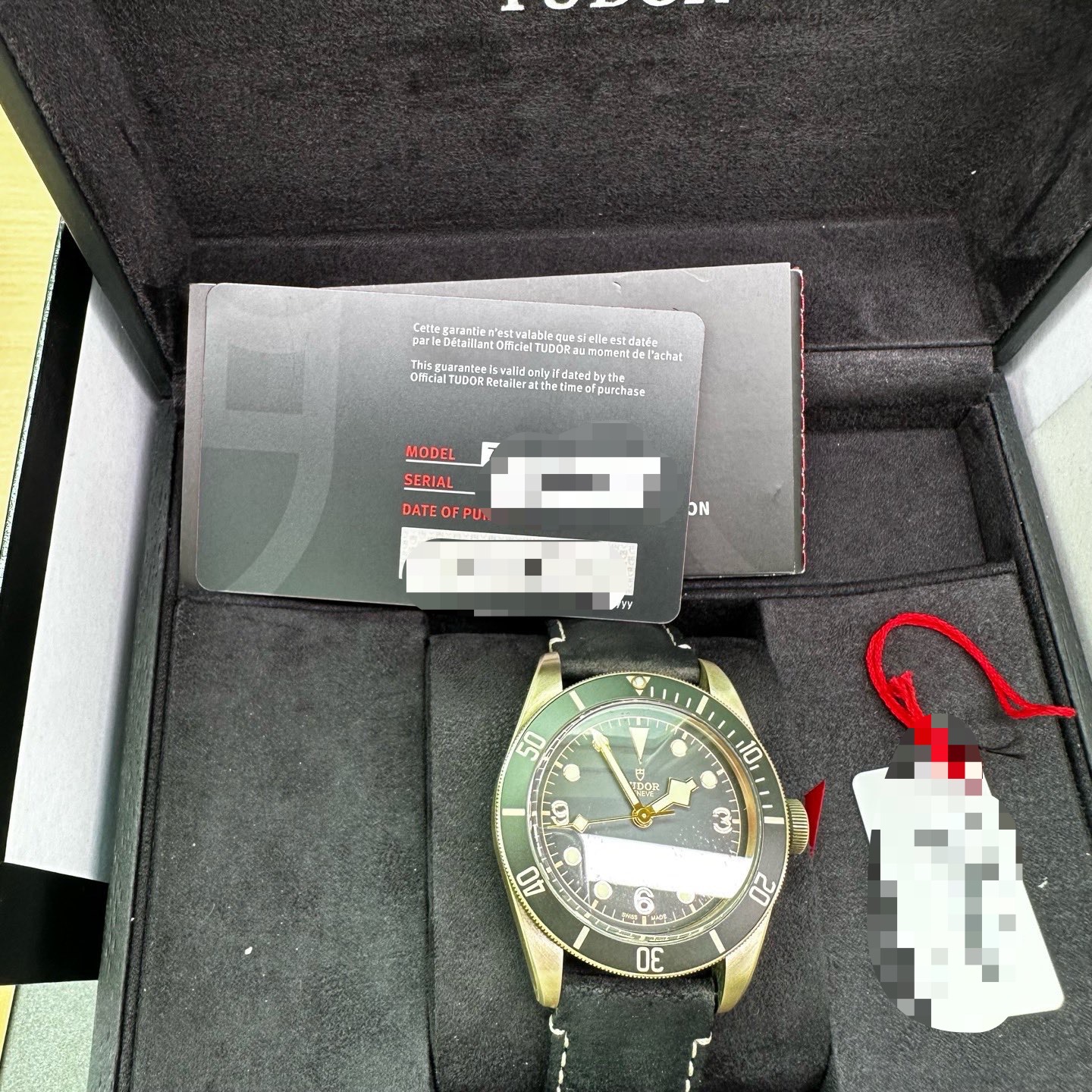 Tudor m79250ba-0001 detail 5