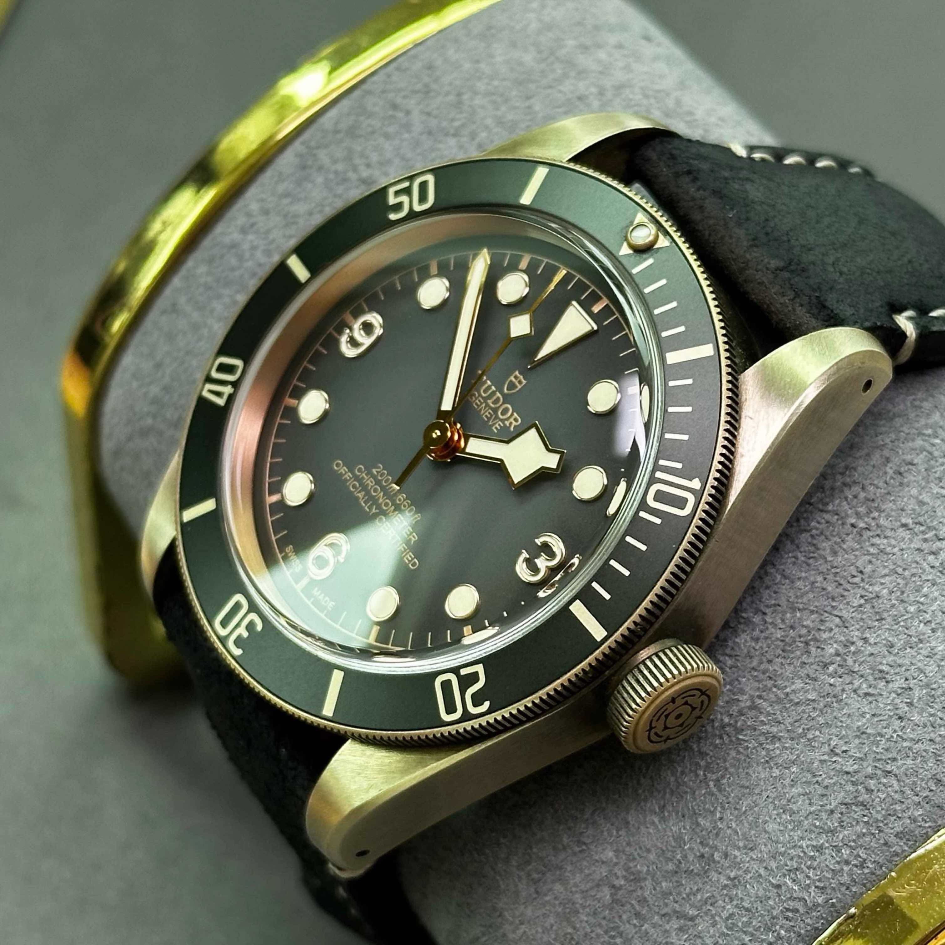 Tudor m79250ba-0001 detail 3