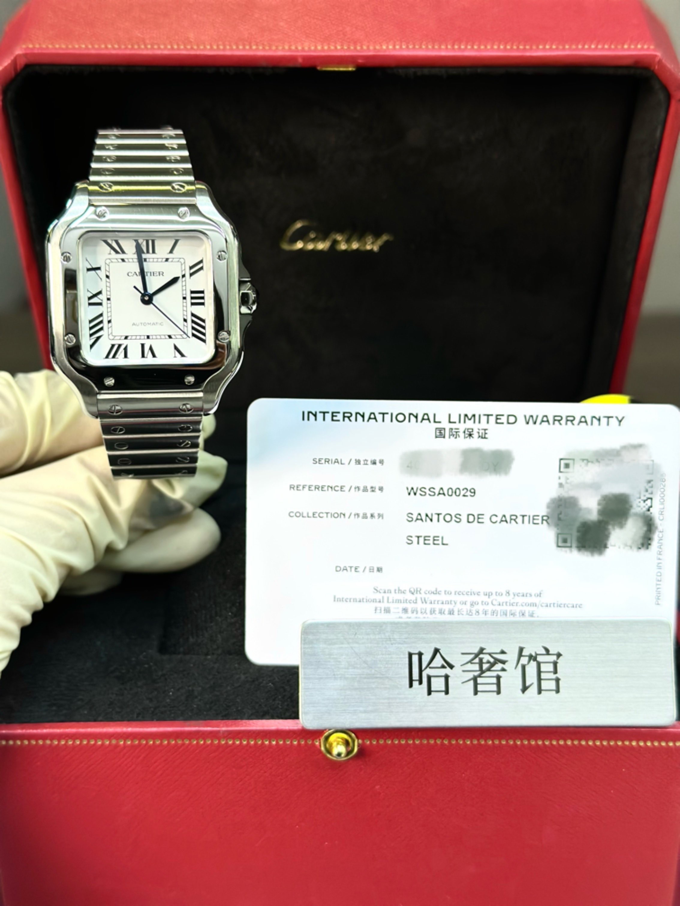Cartier WSSA0029 detail 2