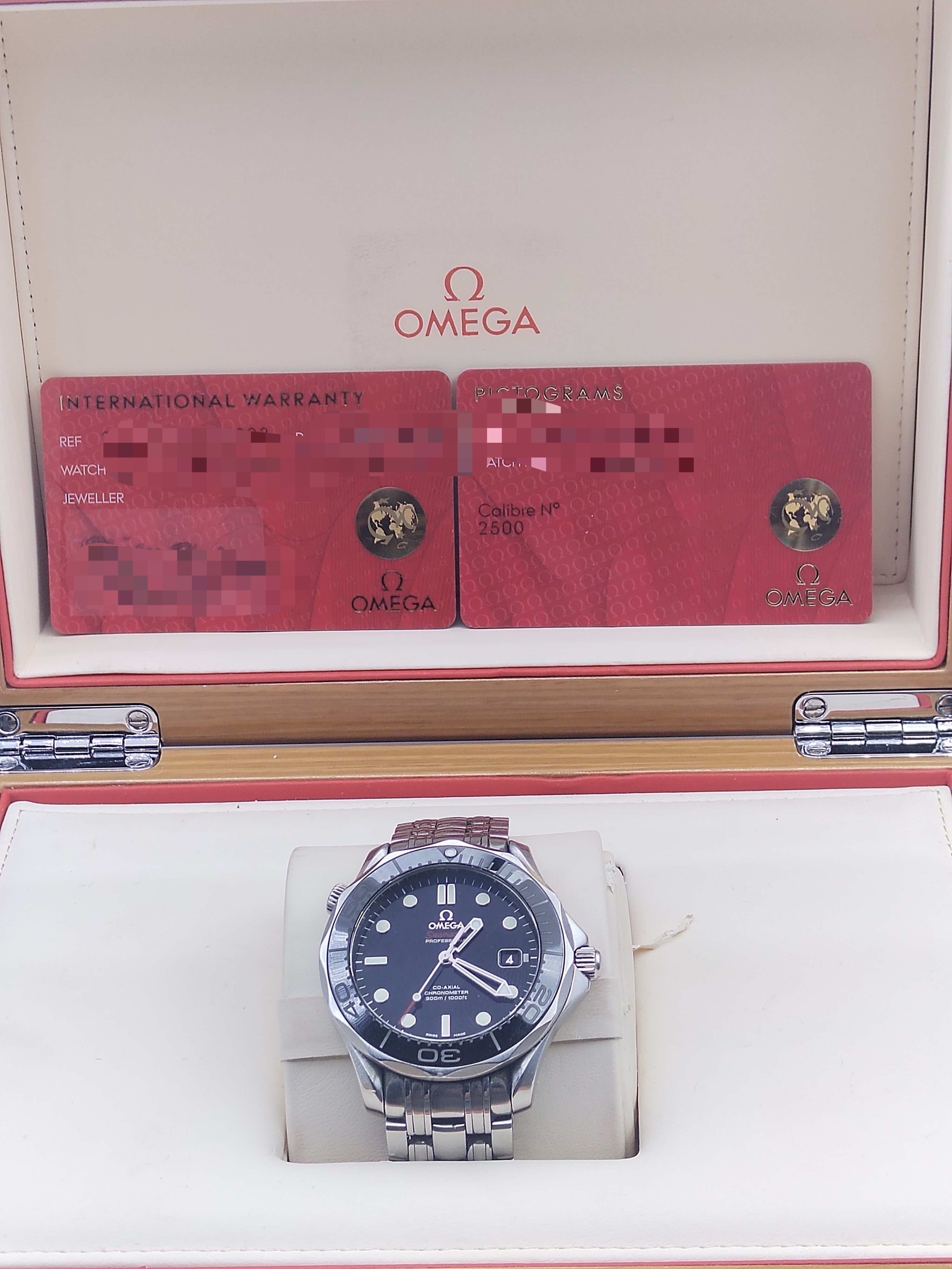 Omega 212.30.41.20.01.003 detail 5