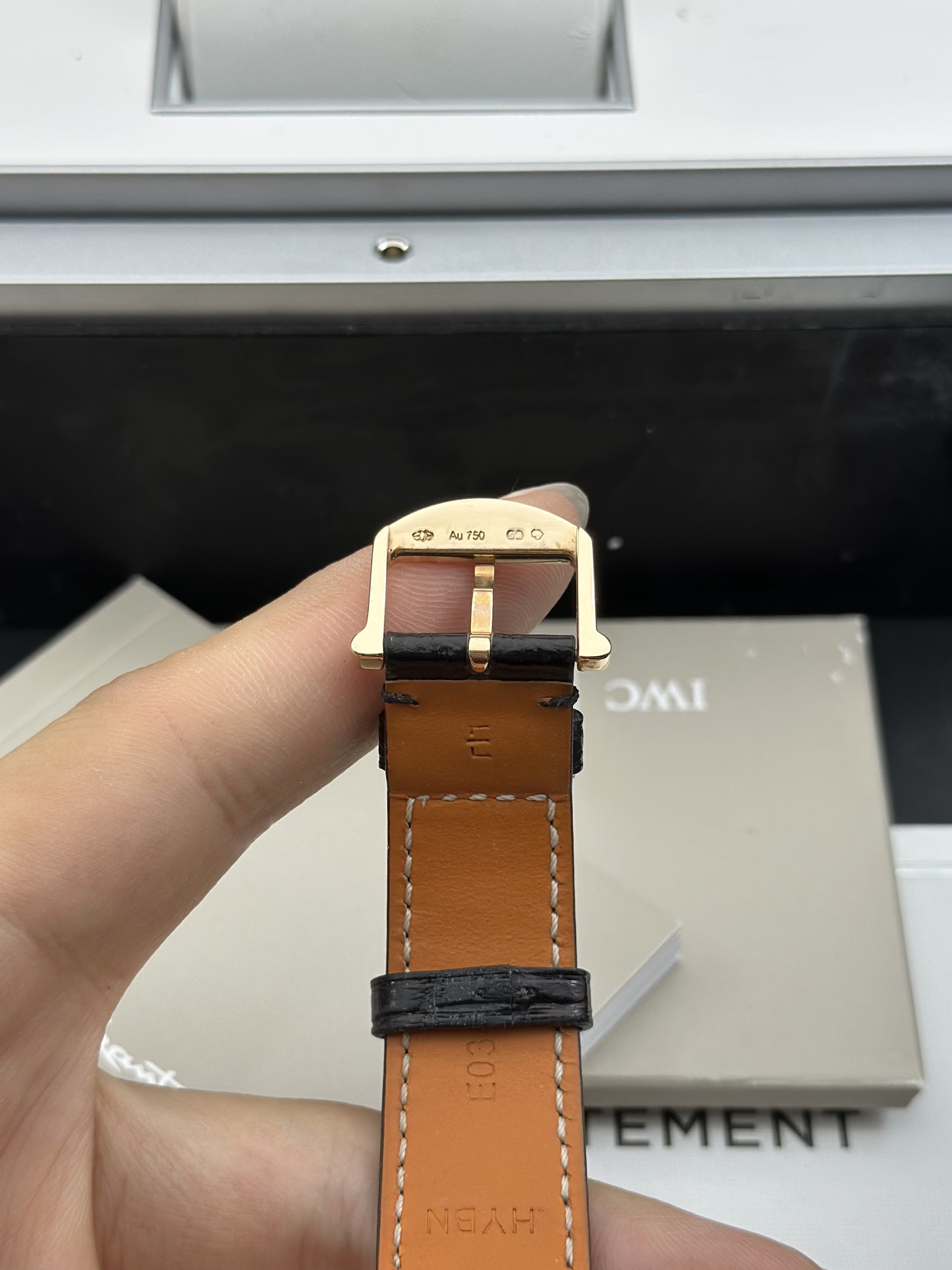 IWC IW459009 detail 5