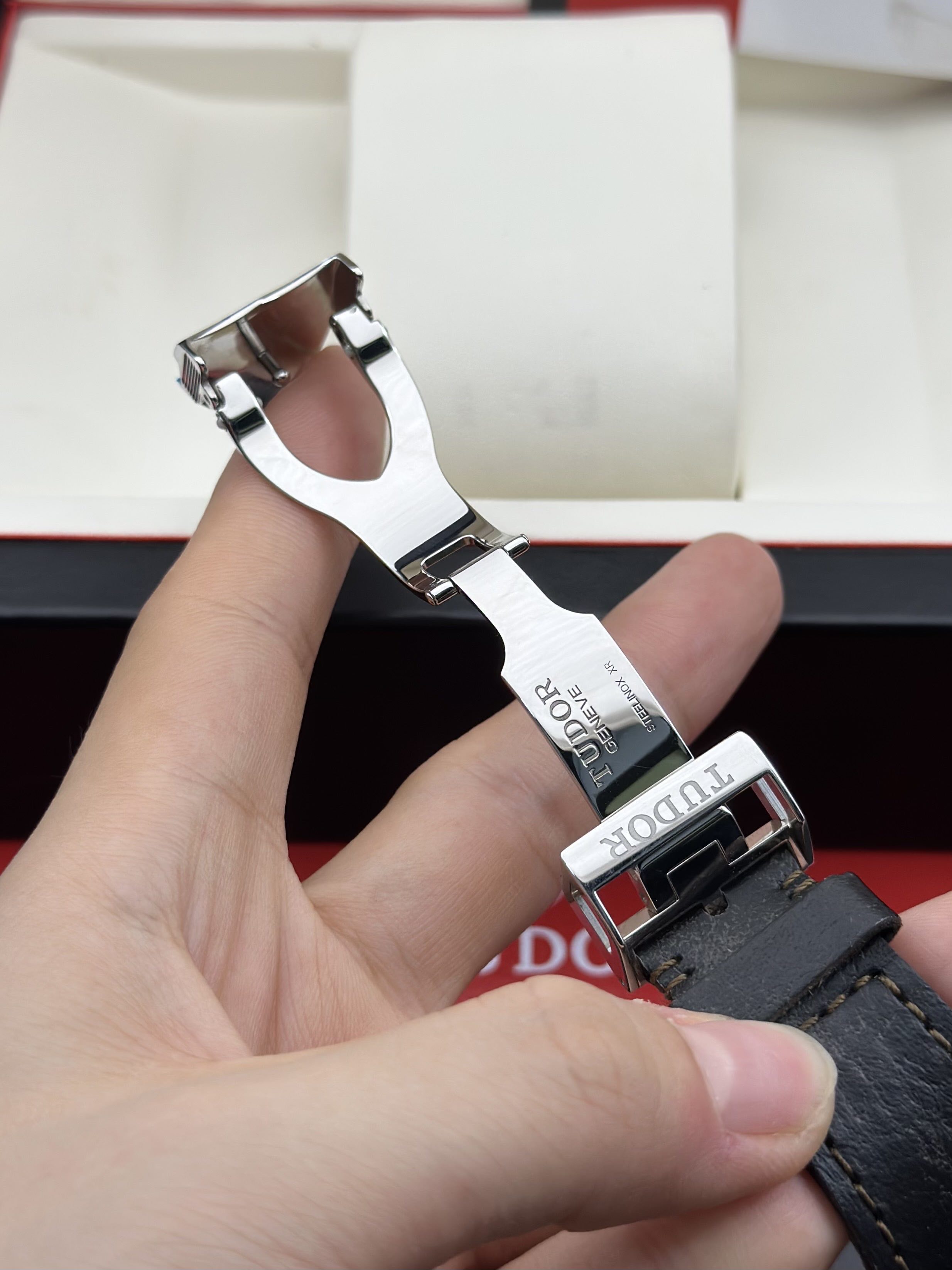Tudor m79733n-0003 detail 6