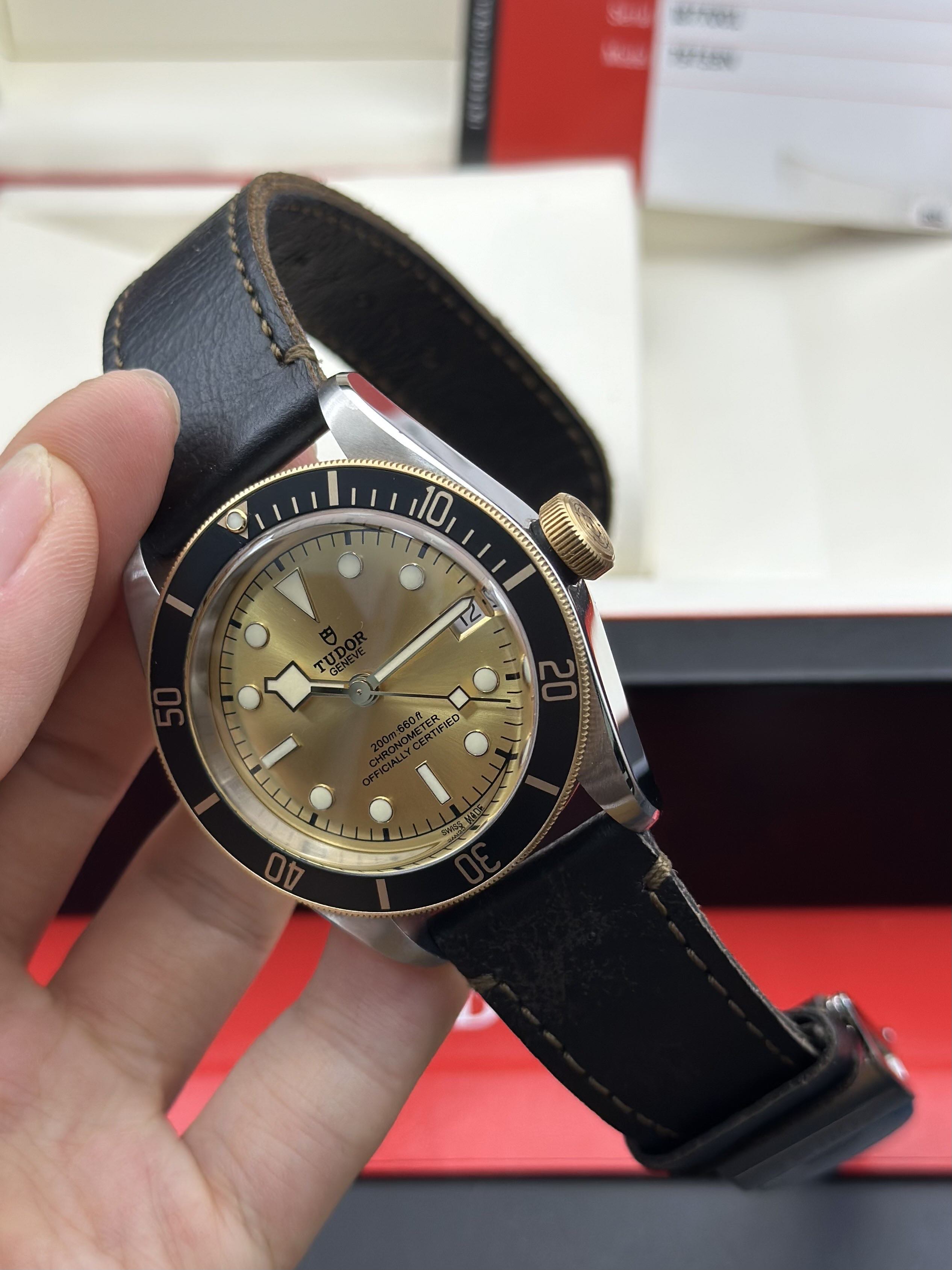 Tudor m79733n-0003 detail 4