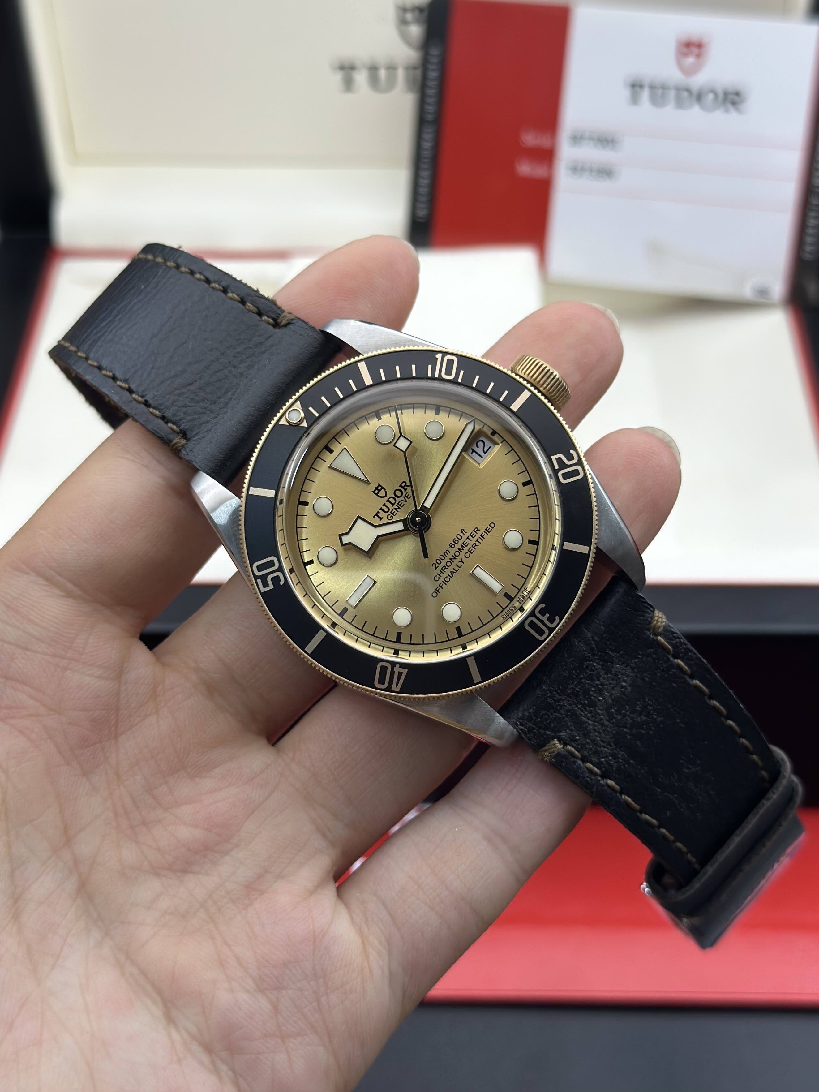 Tudor m79733n-0003 detail 2