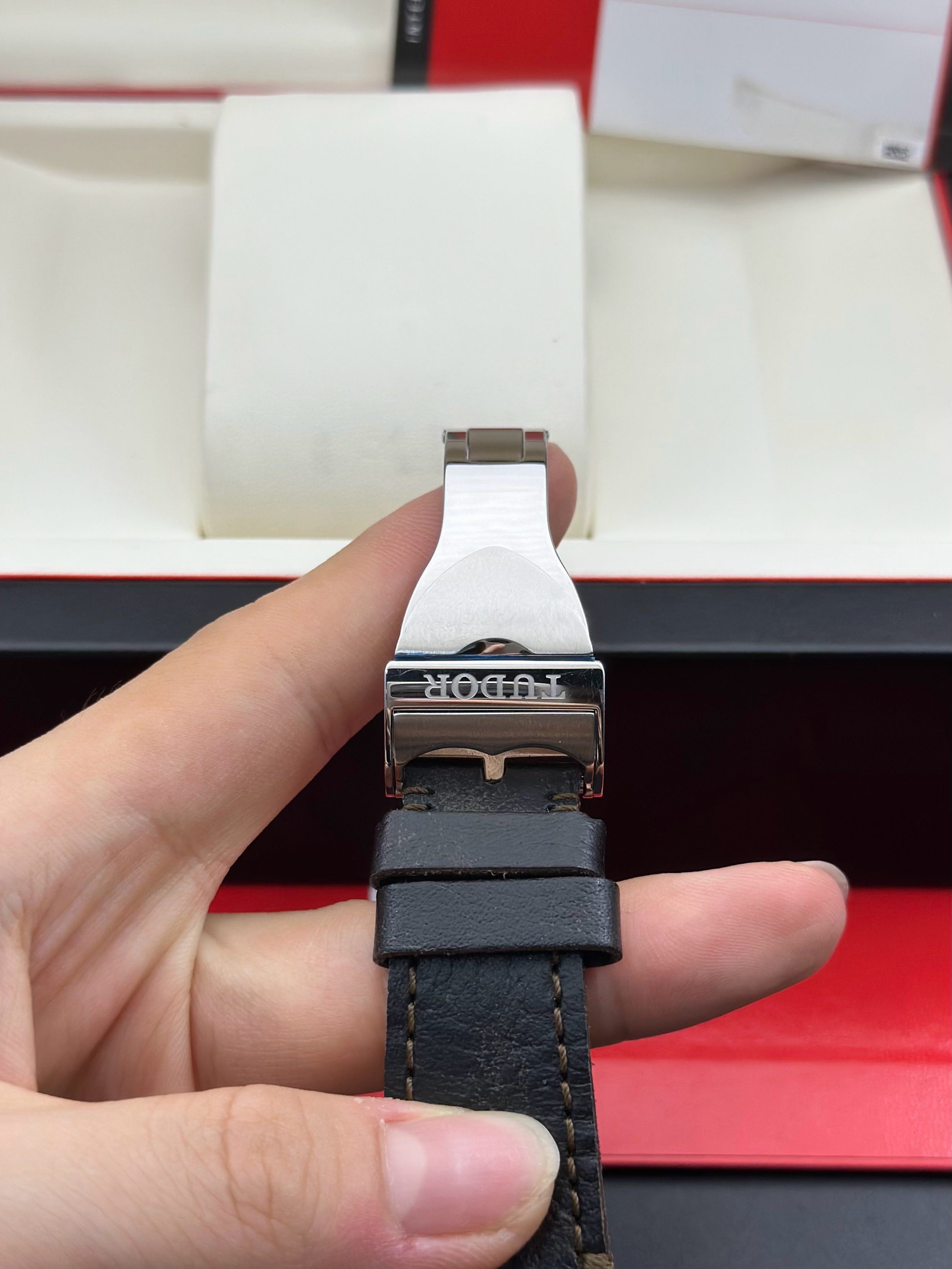 Tudor m79733n-0003 detail 5