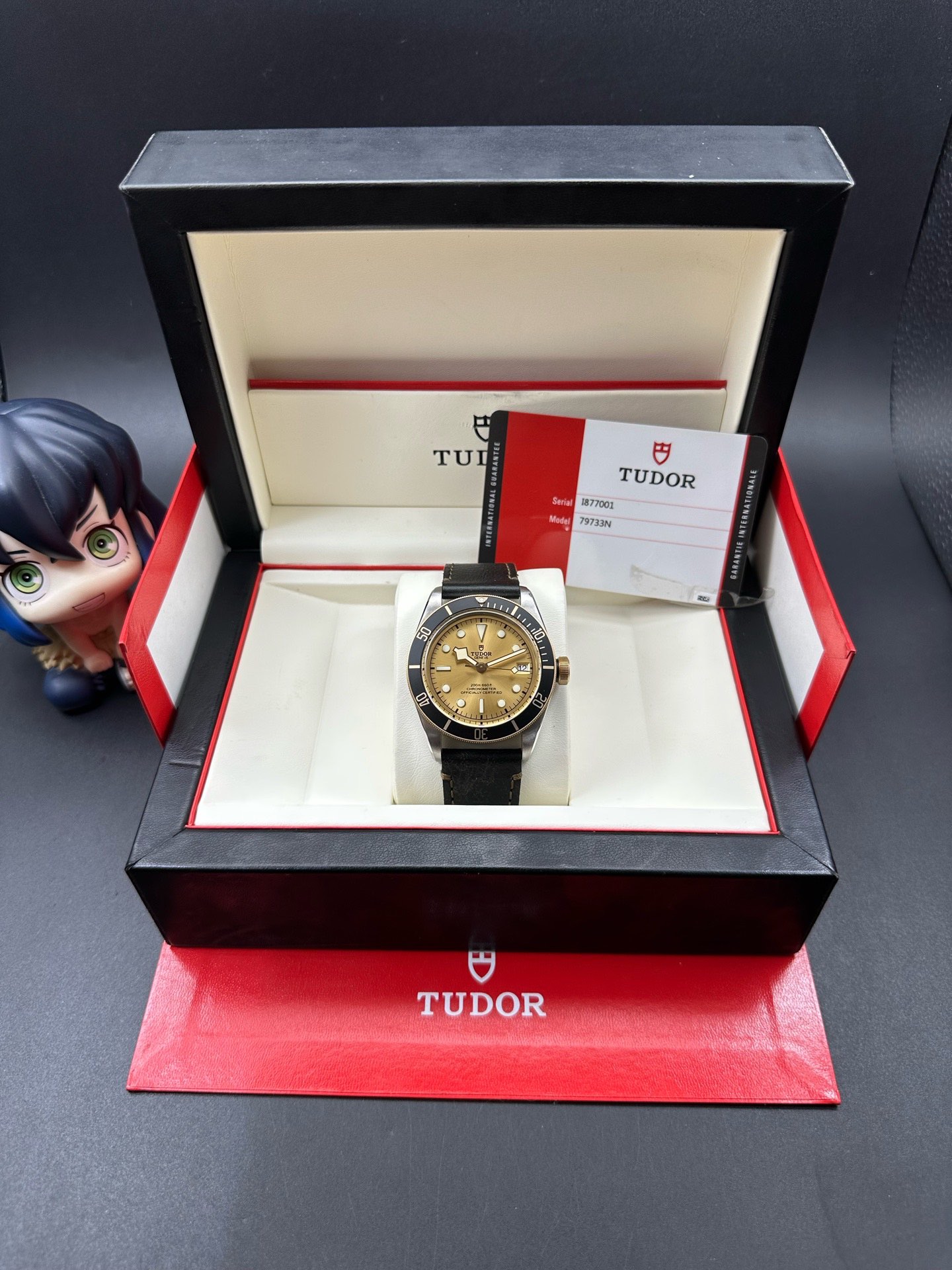 Tudor m79733n-0003 detail 8