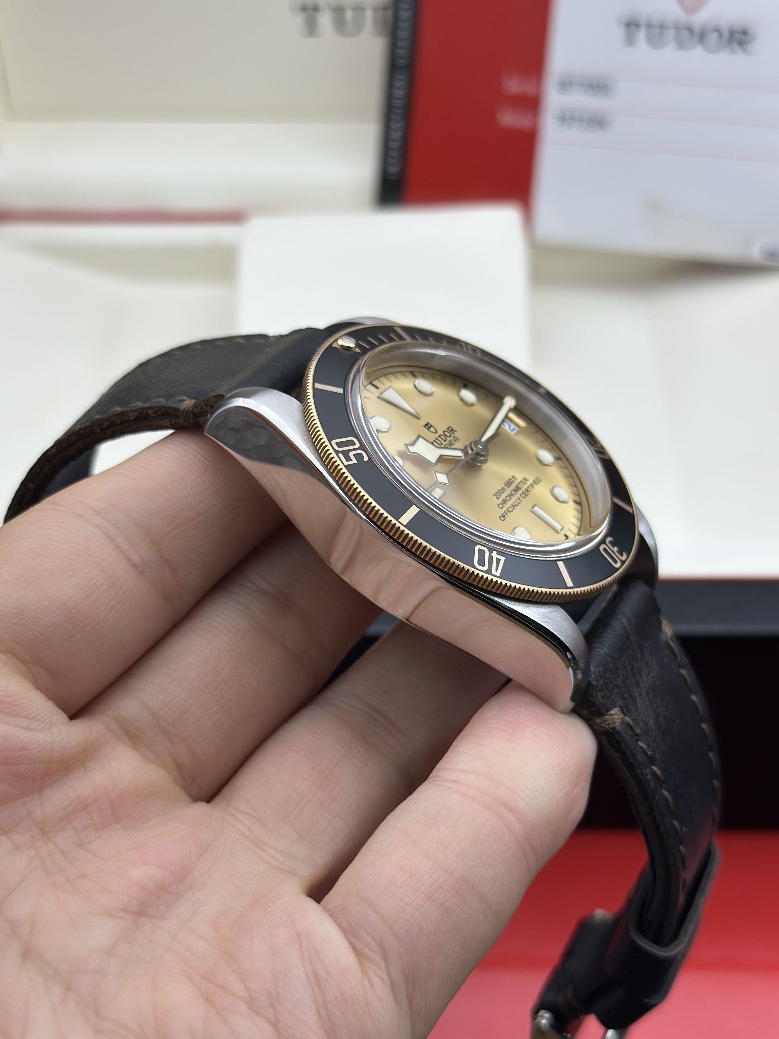 Tudor m79733n-0003 detail 3