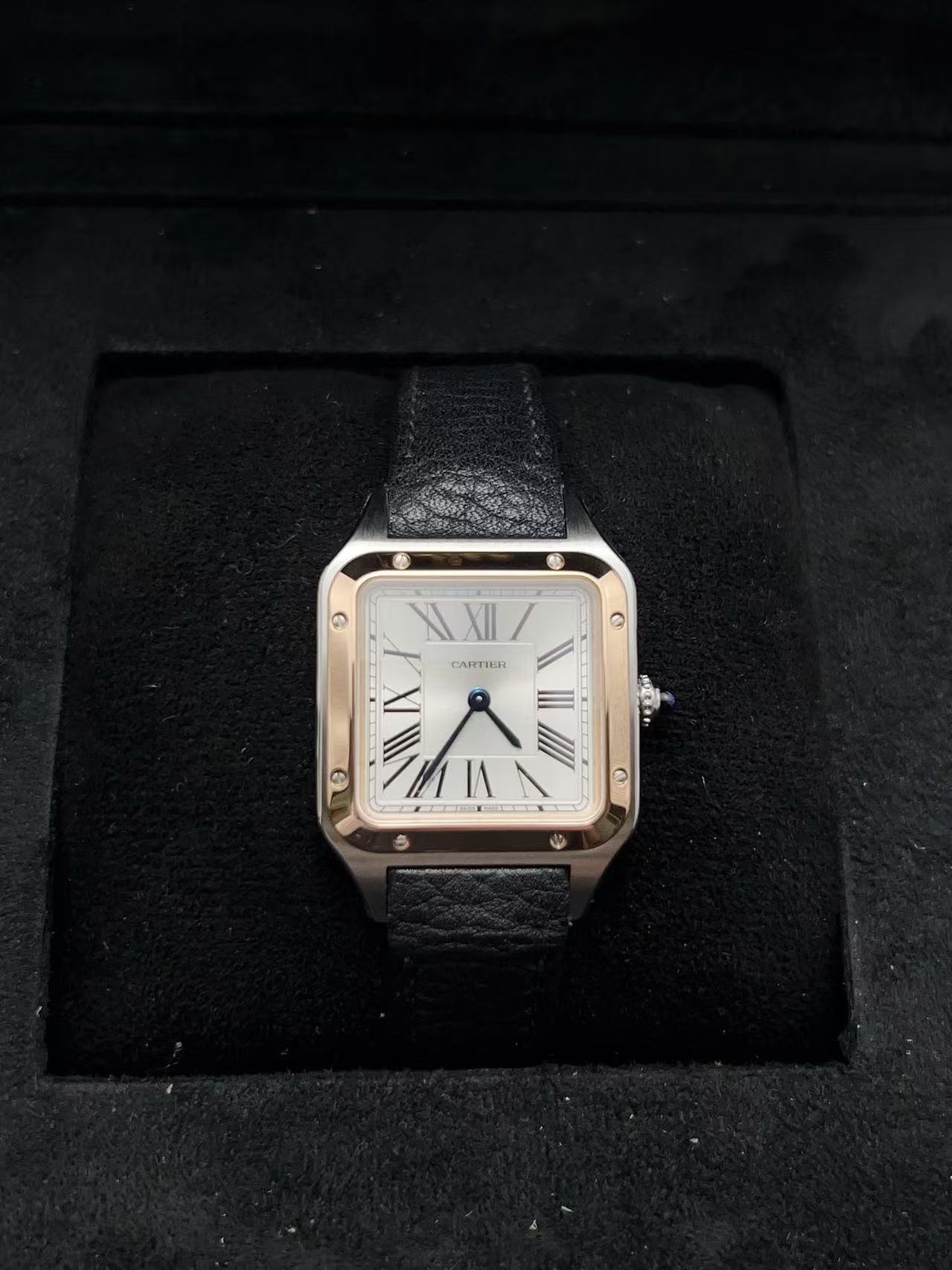 Cartier W2SA0020