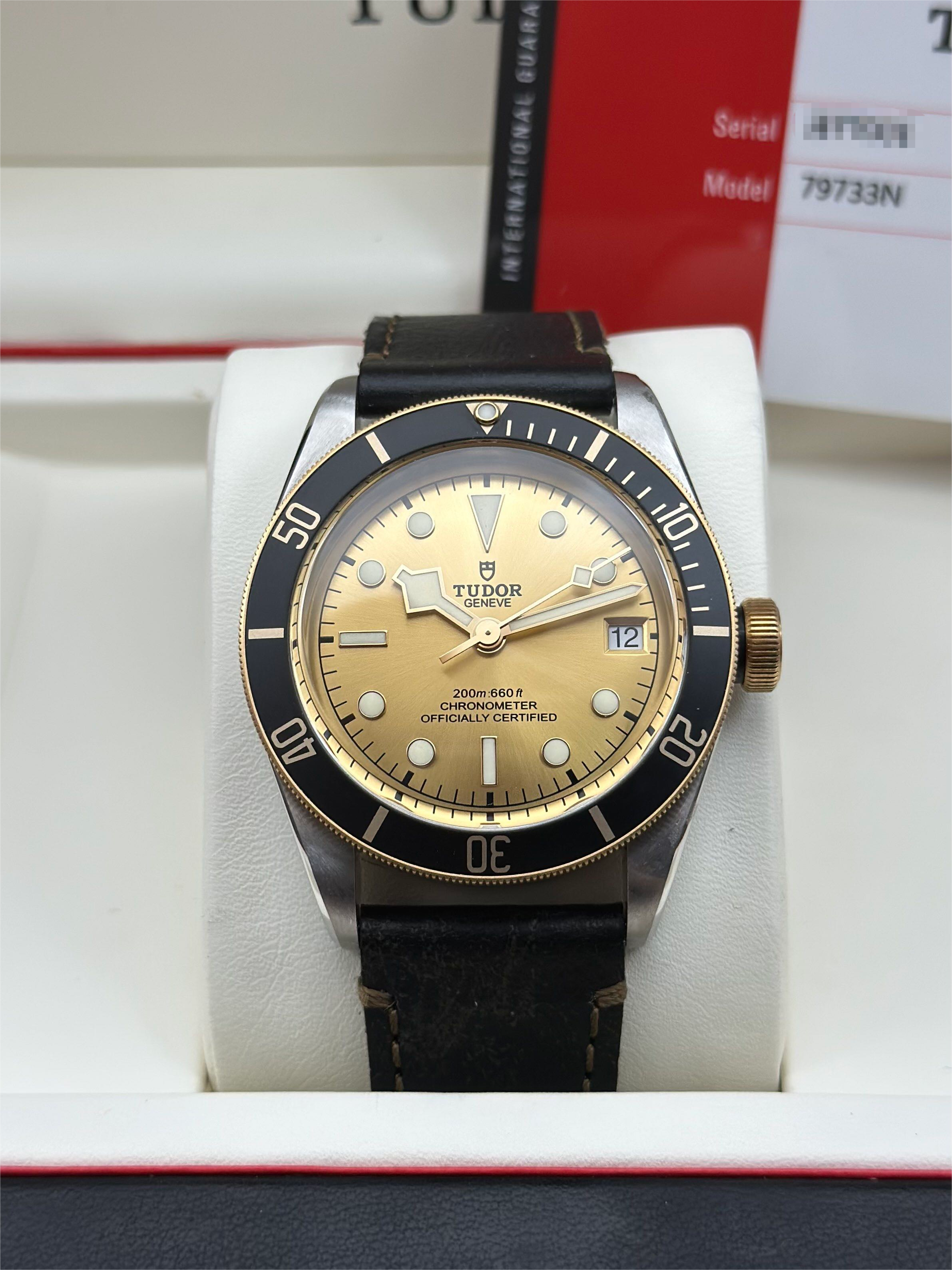 Tudor m79733n-0003