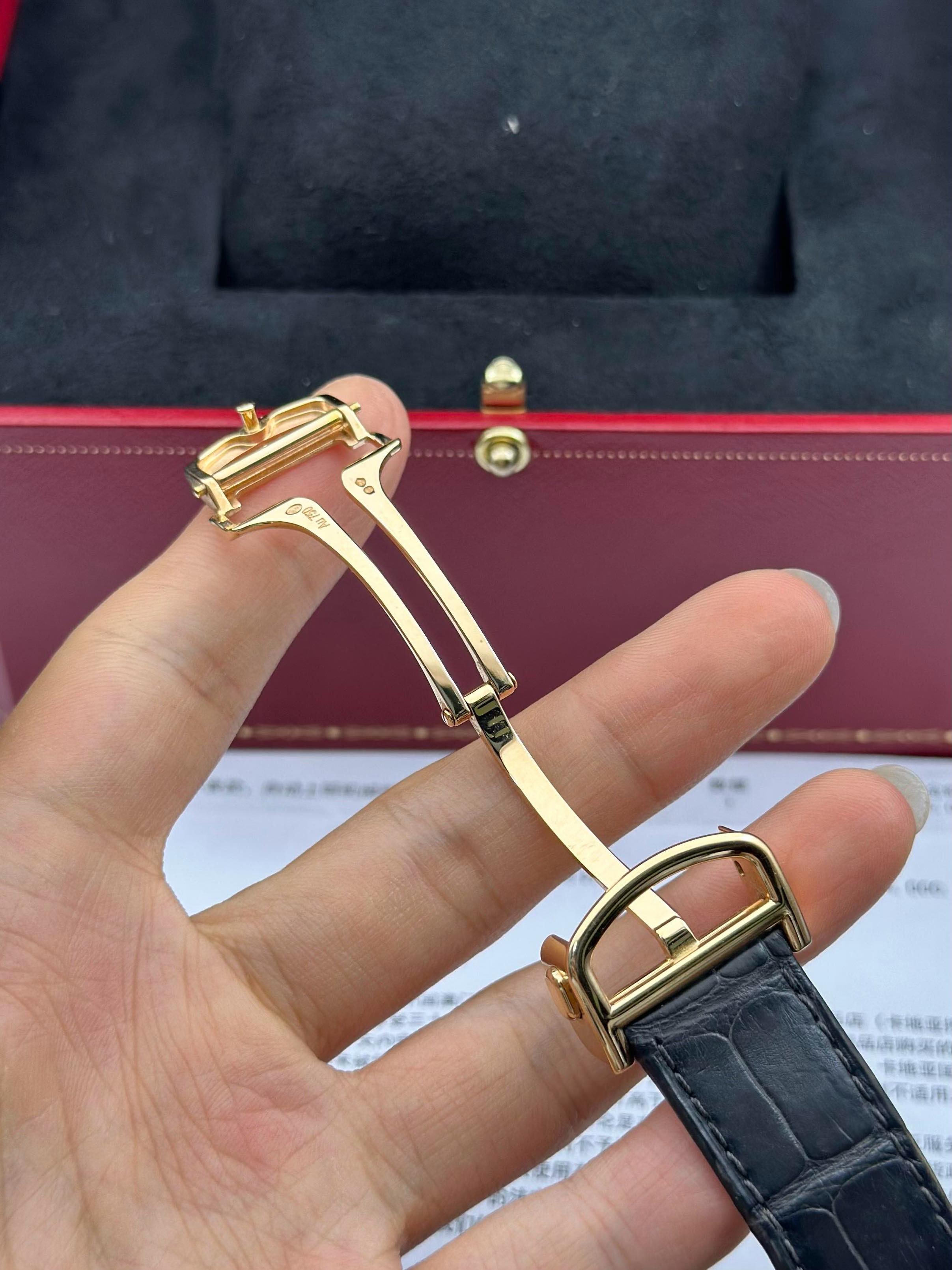 Cartier WGRN0011 detail 5