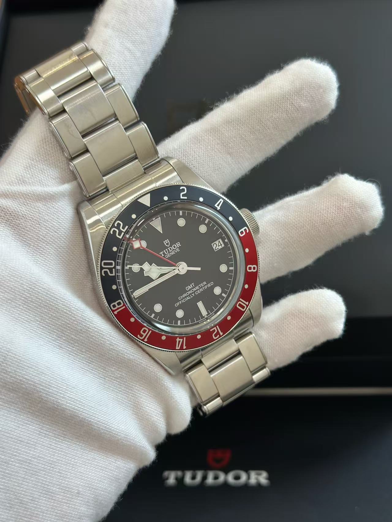 Tudor m79830rb-0001 detail 2