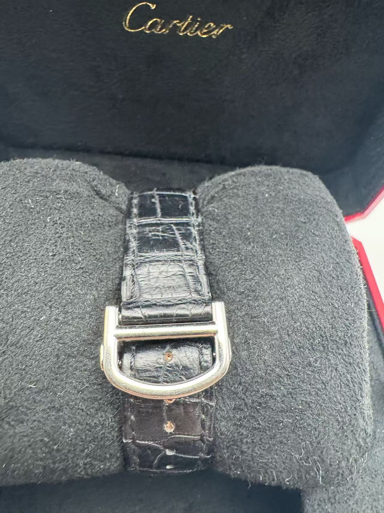 Cartier WSBB0029 detail 5