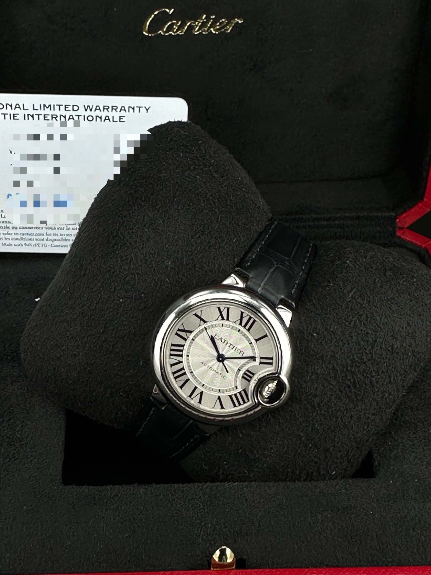 Cartier WSBB0030