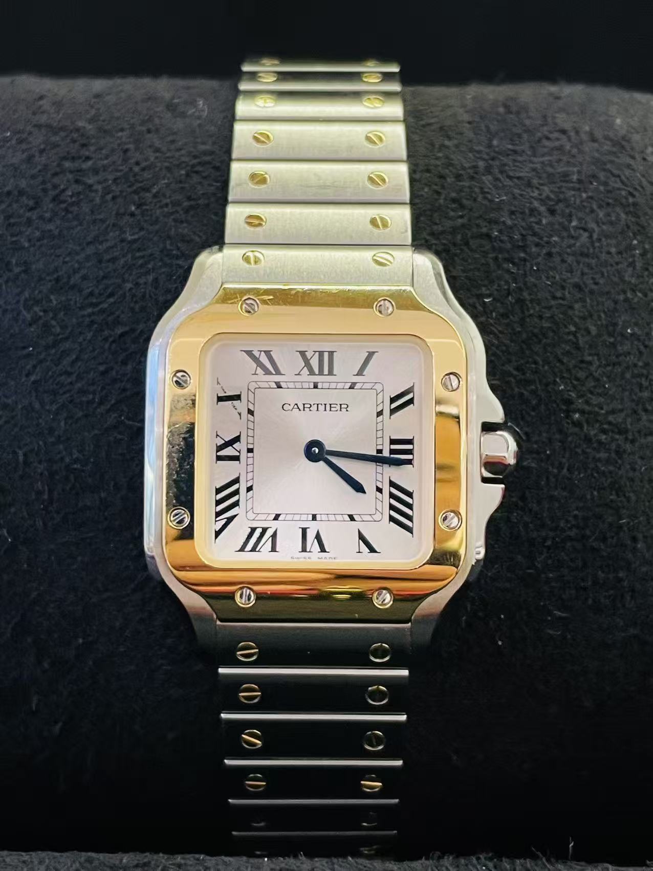 Cartier W2SA0033