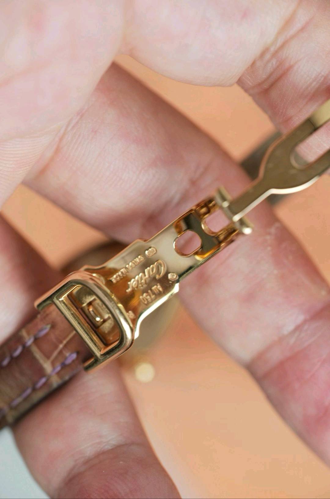 Cartier WE400331 detail 6