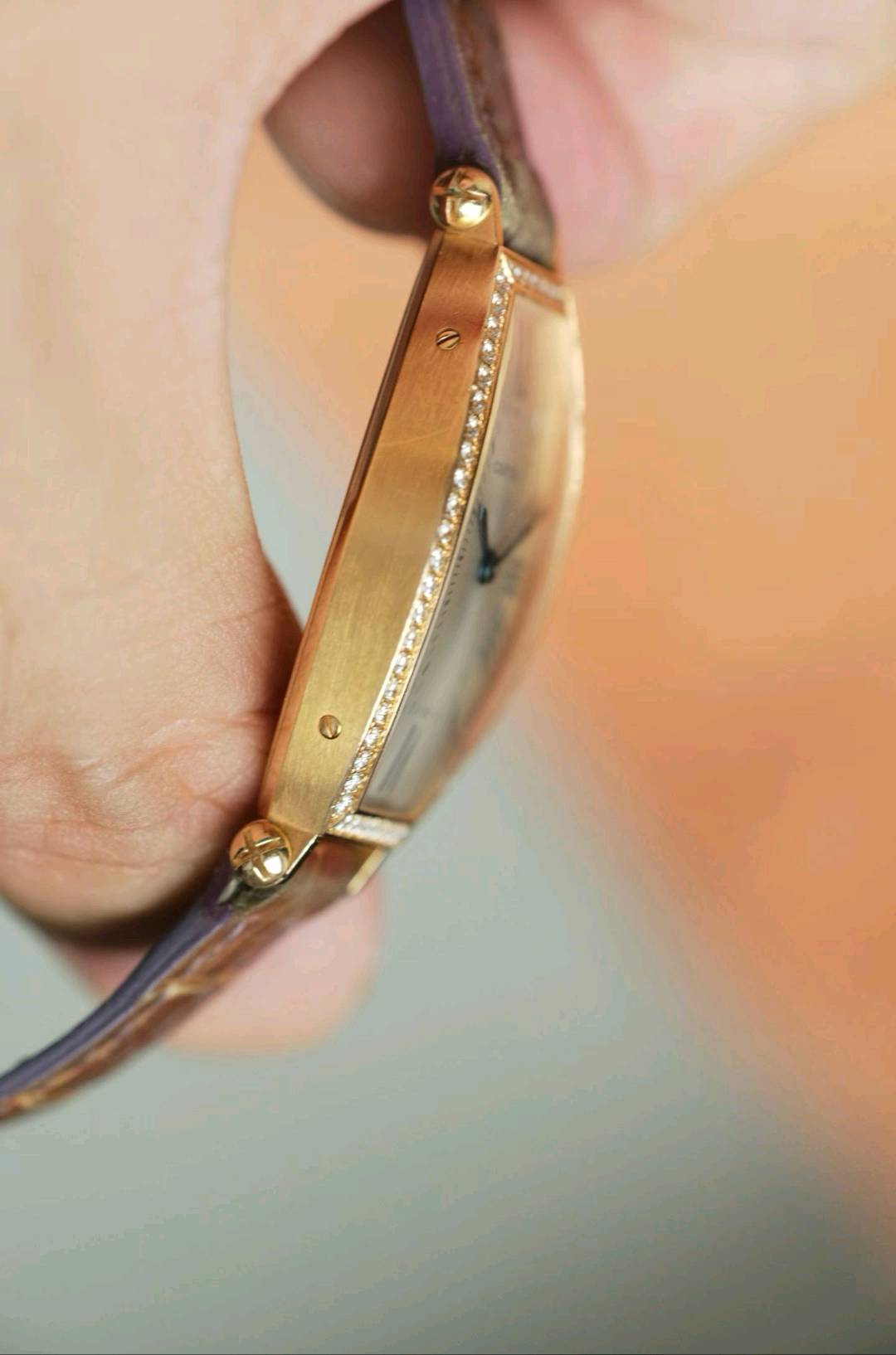 Cartier WE400331 detail 3