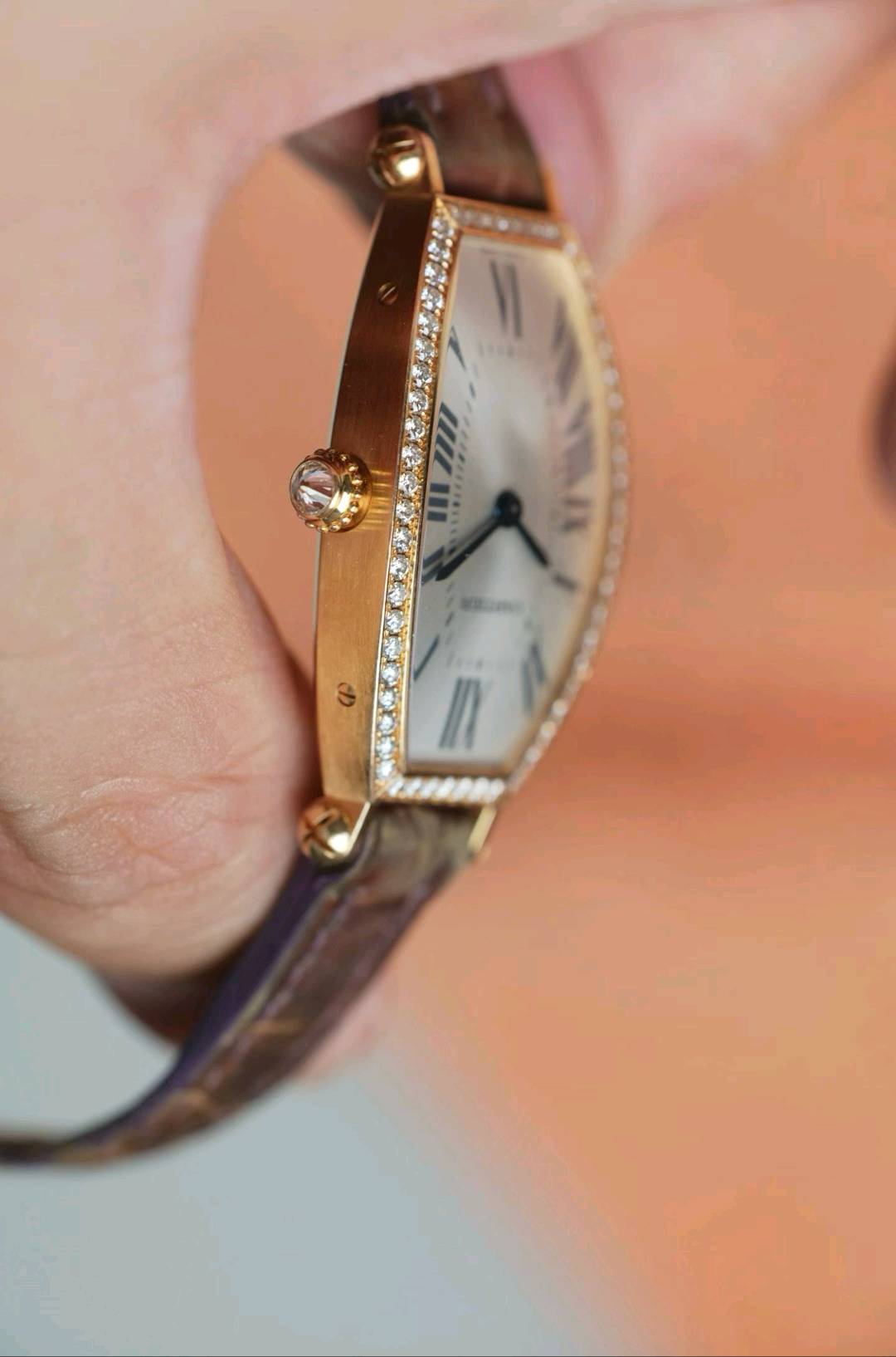 Cartier WE400331 detail 5