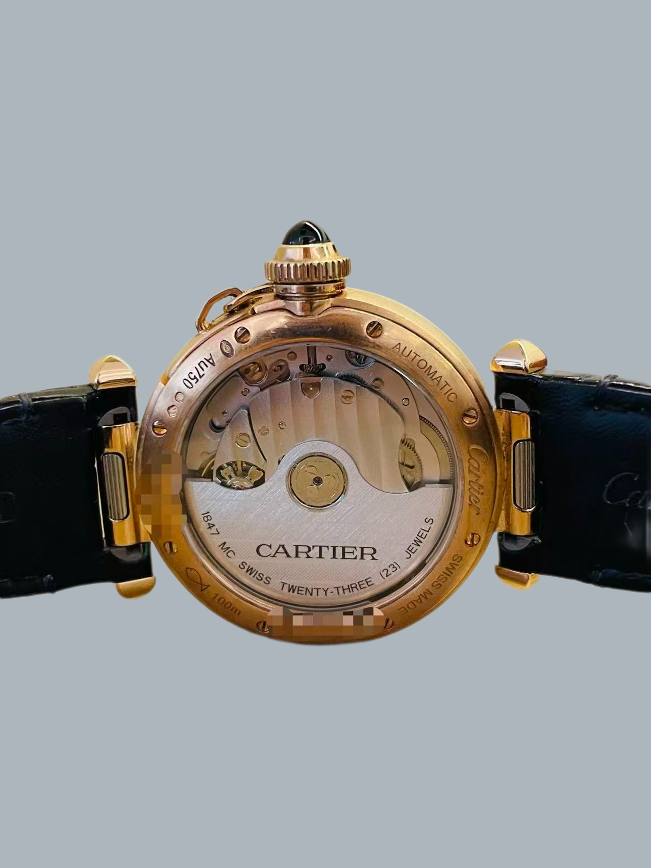 Cartier WGPA0014 detail 4